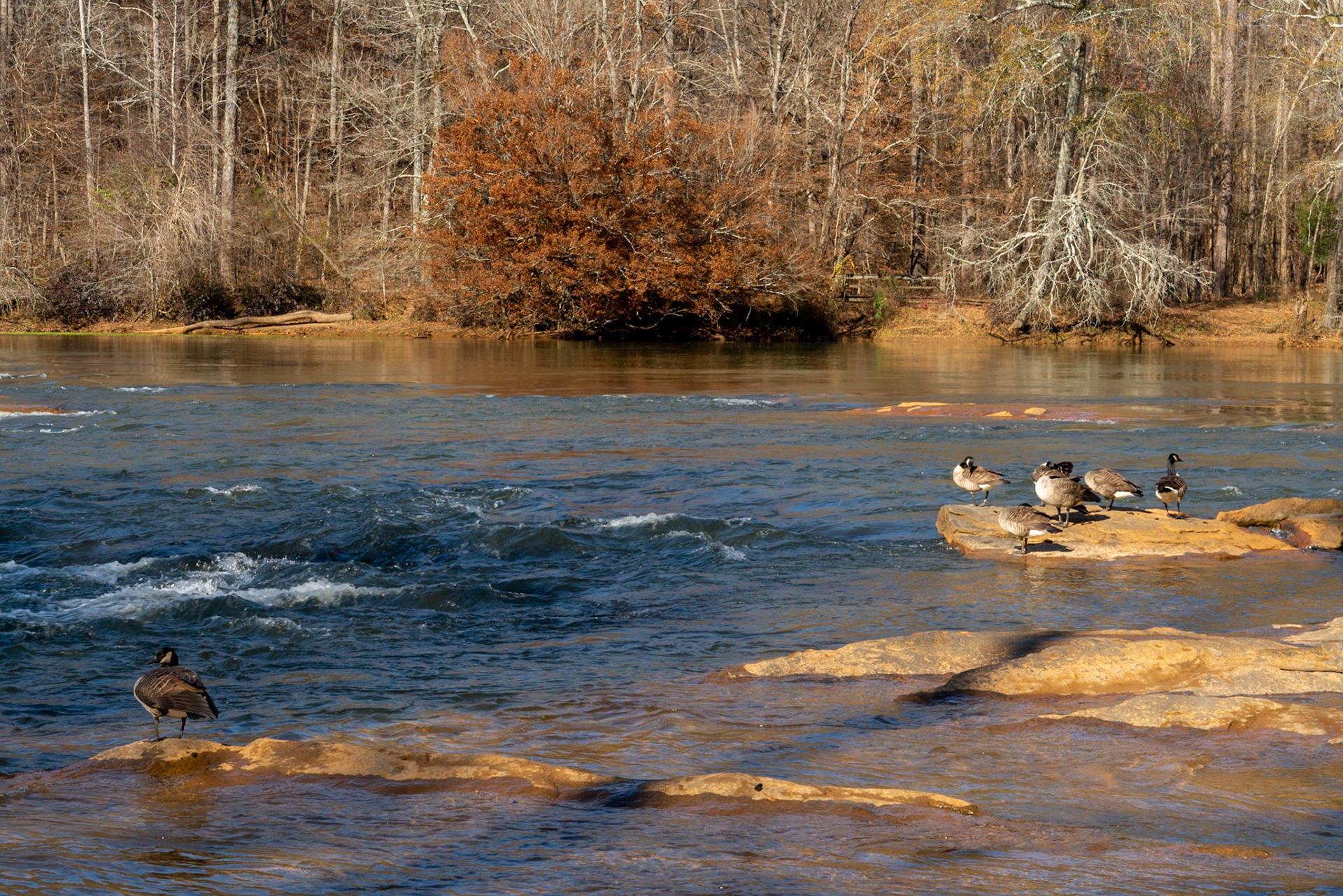 Jones Bridge Park GA