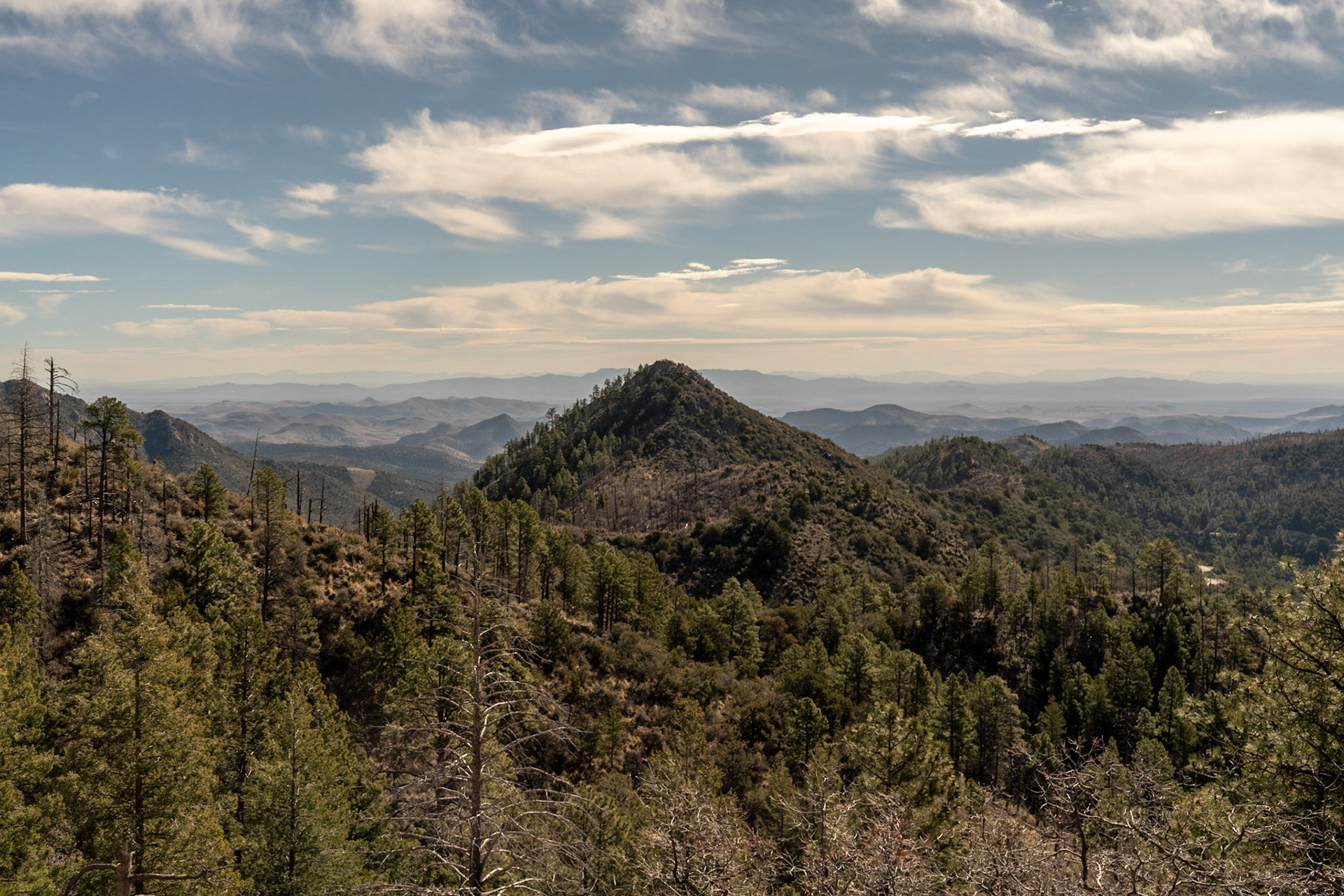 Emory Pass NM