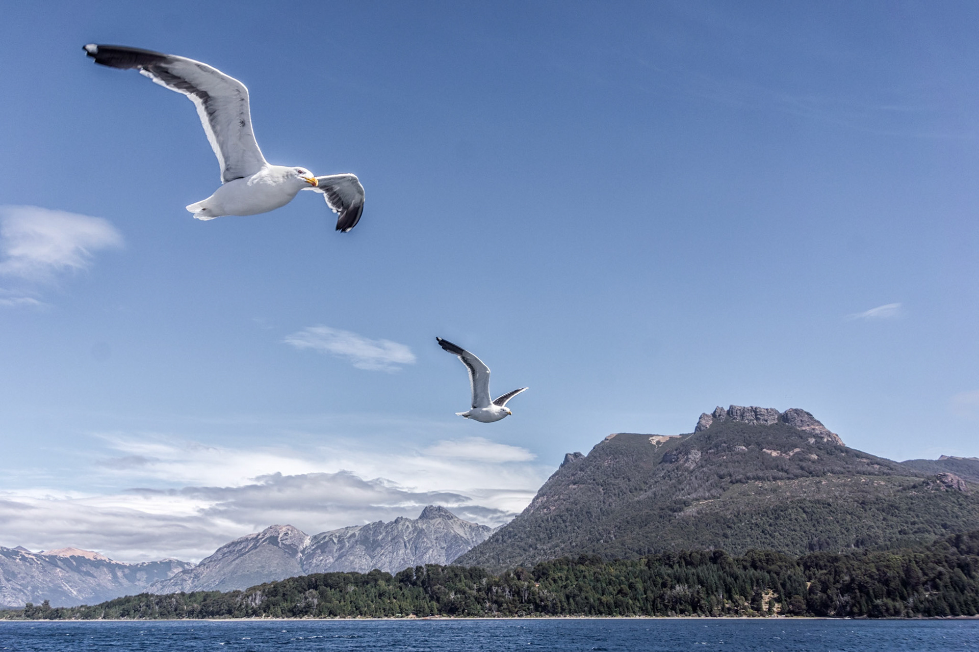 Lago Nahuel Huapi Argentina