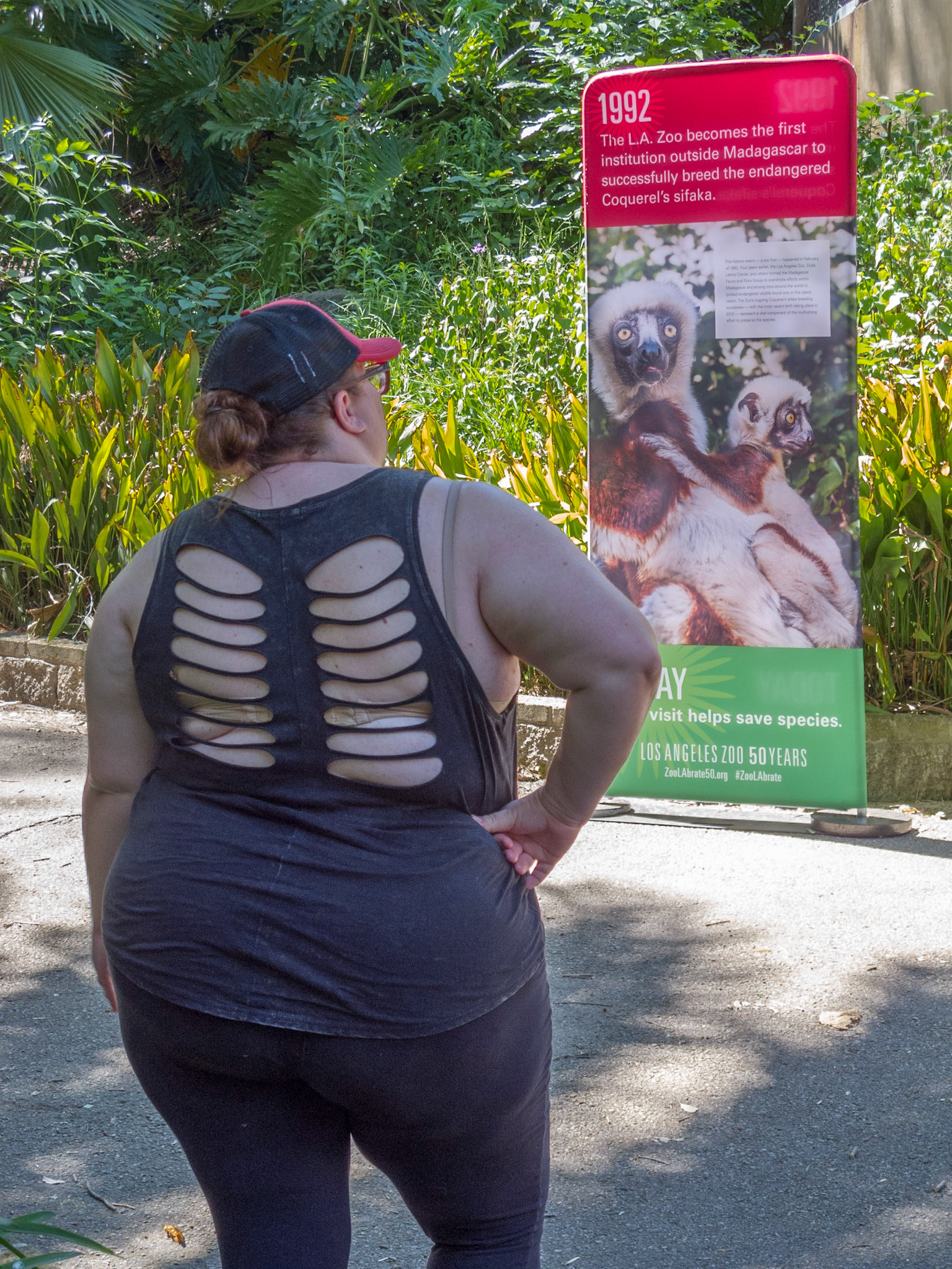 LA Zoo