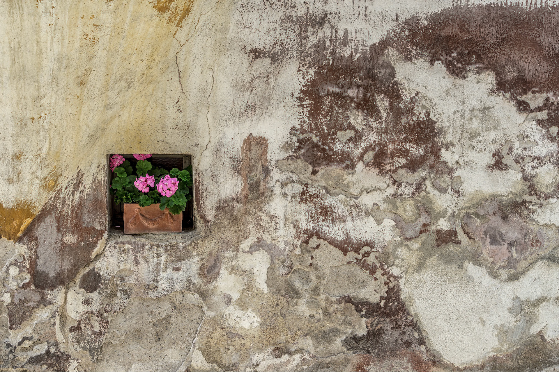 Krems an der Donau Austria