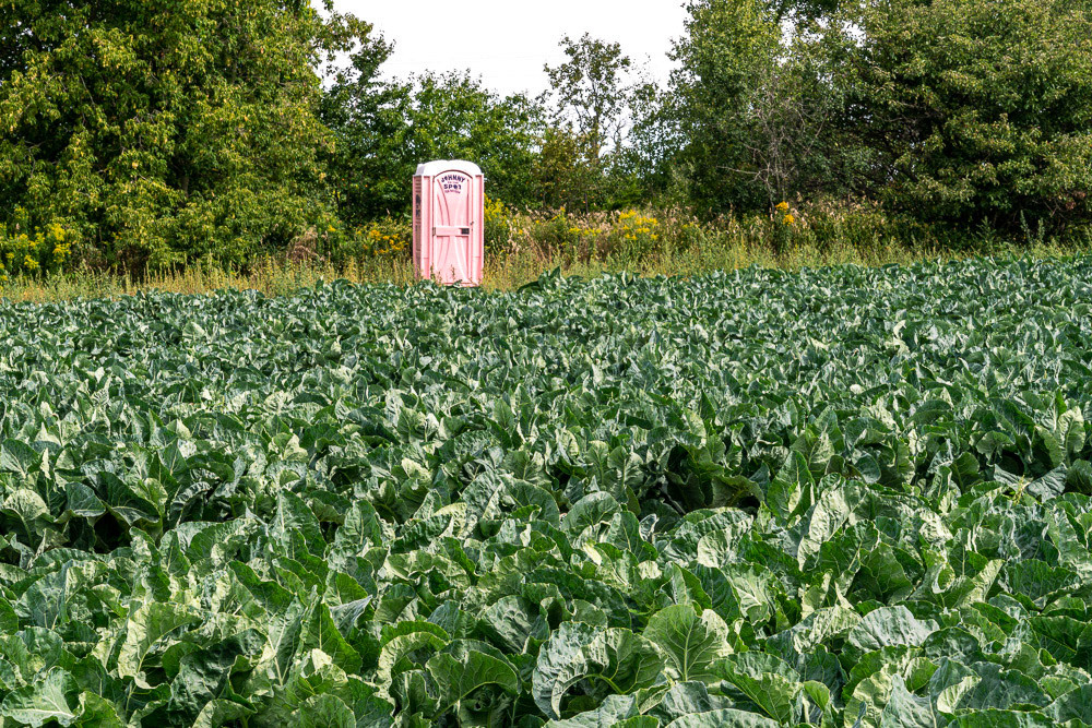Lovekin, Ontario