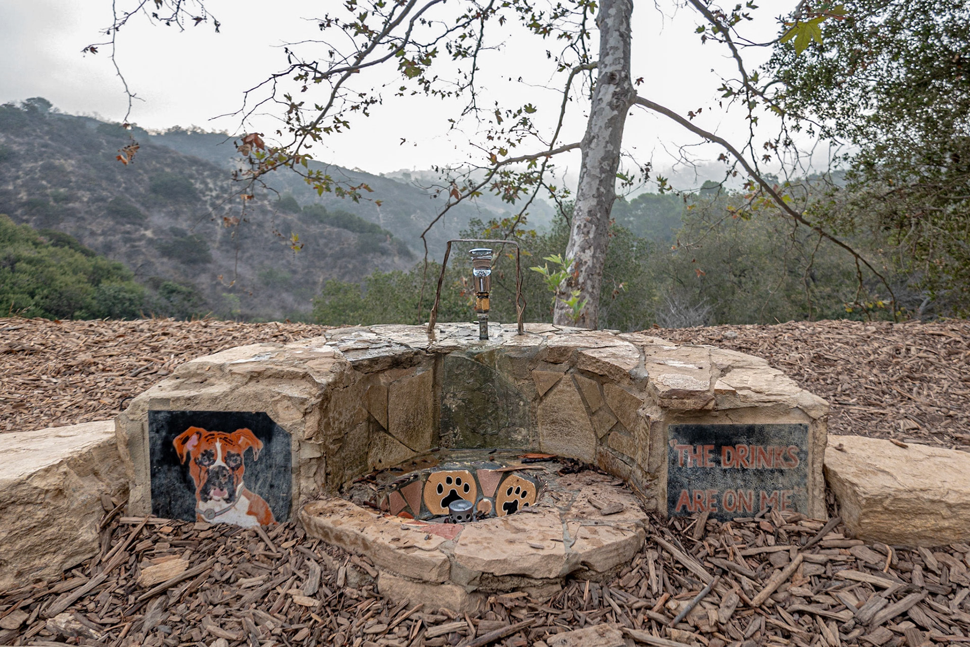 Fryman Cyn