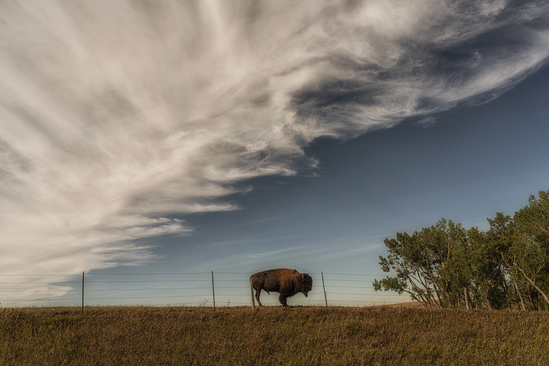 Washburn, ND