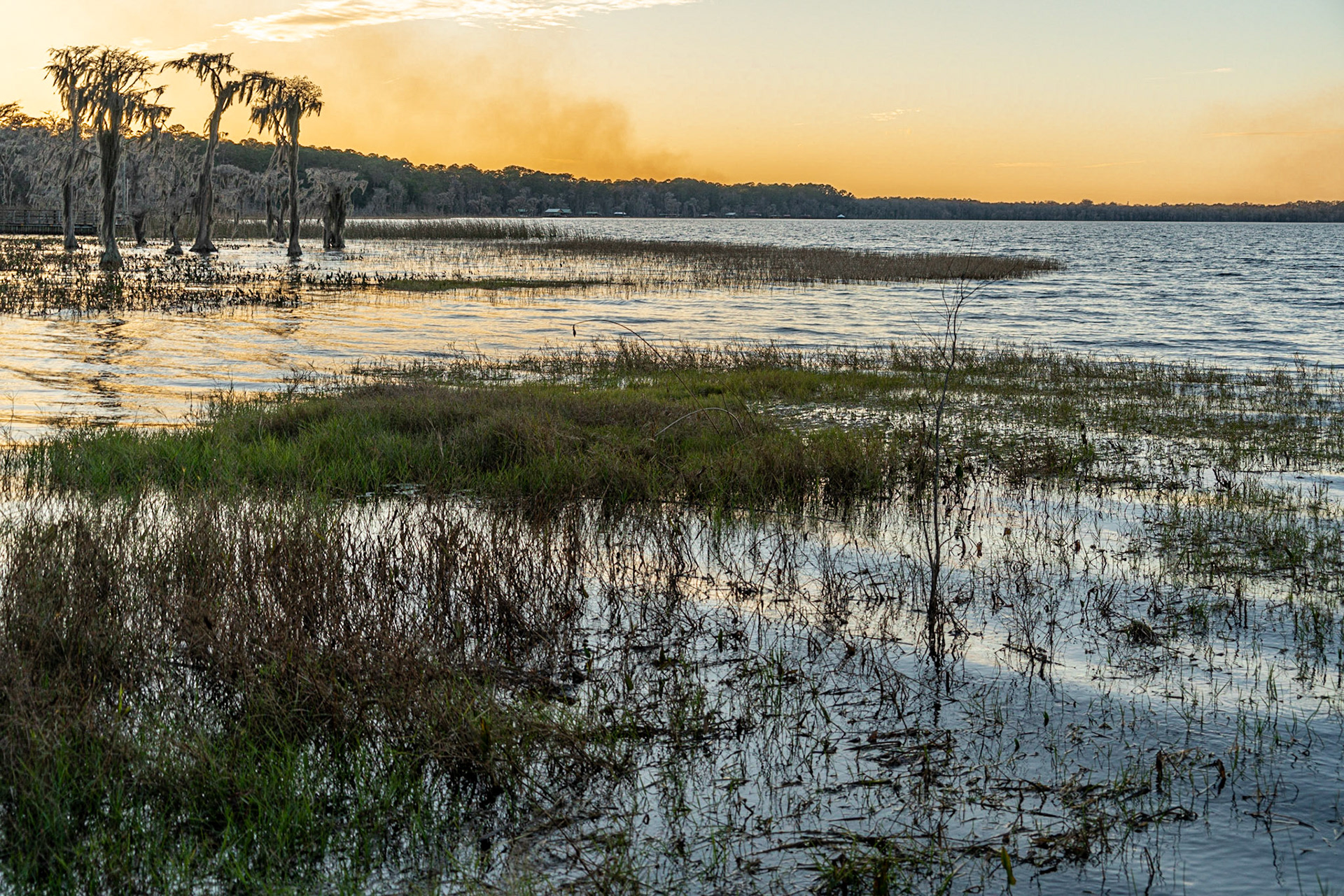 Olustee