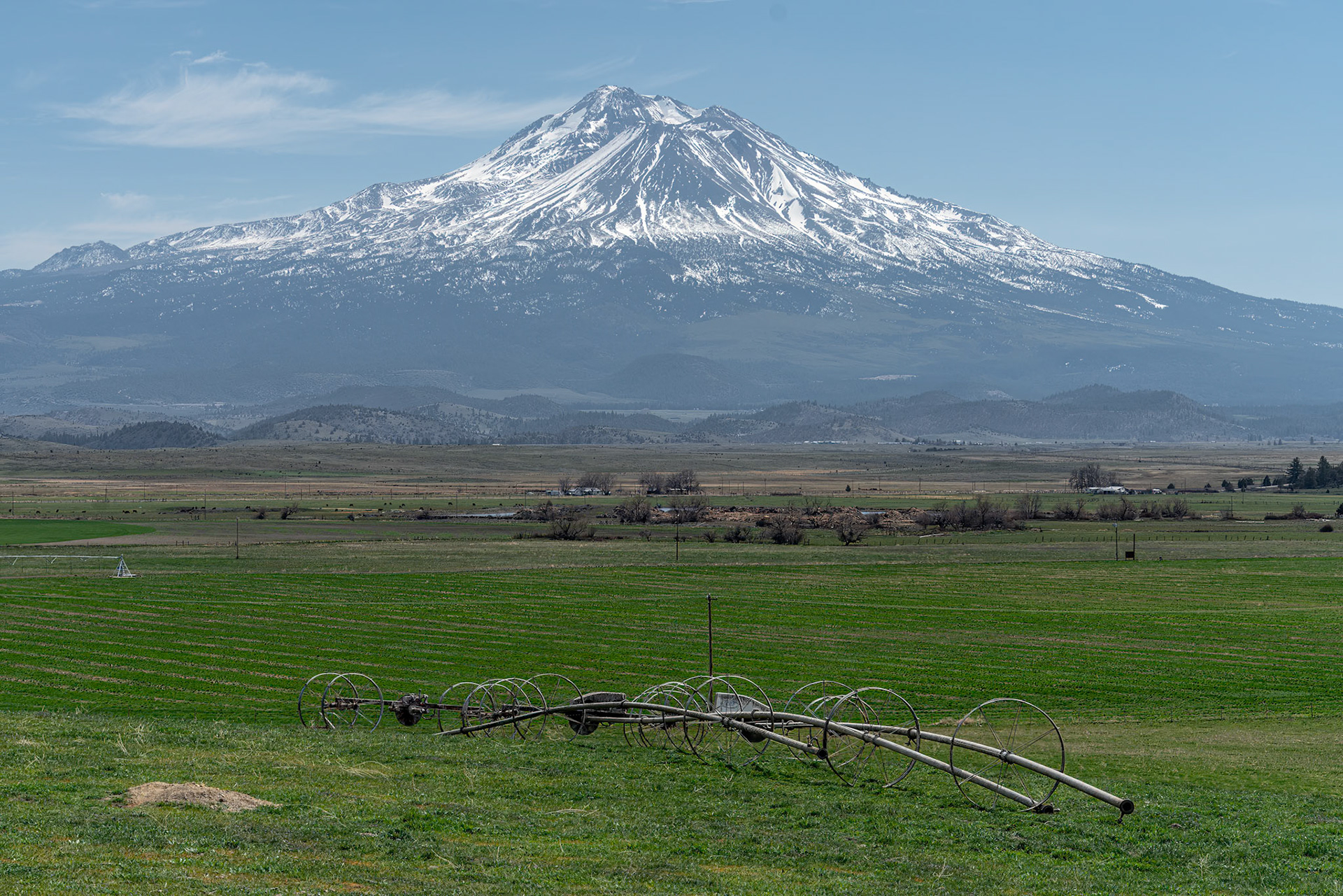 Mt Shasta