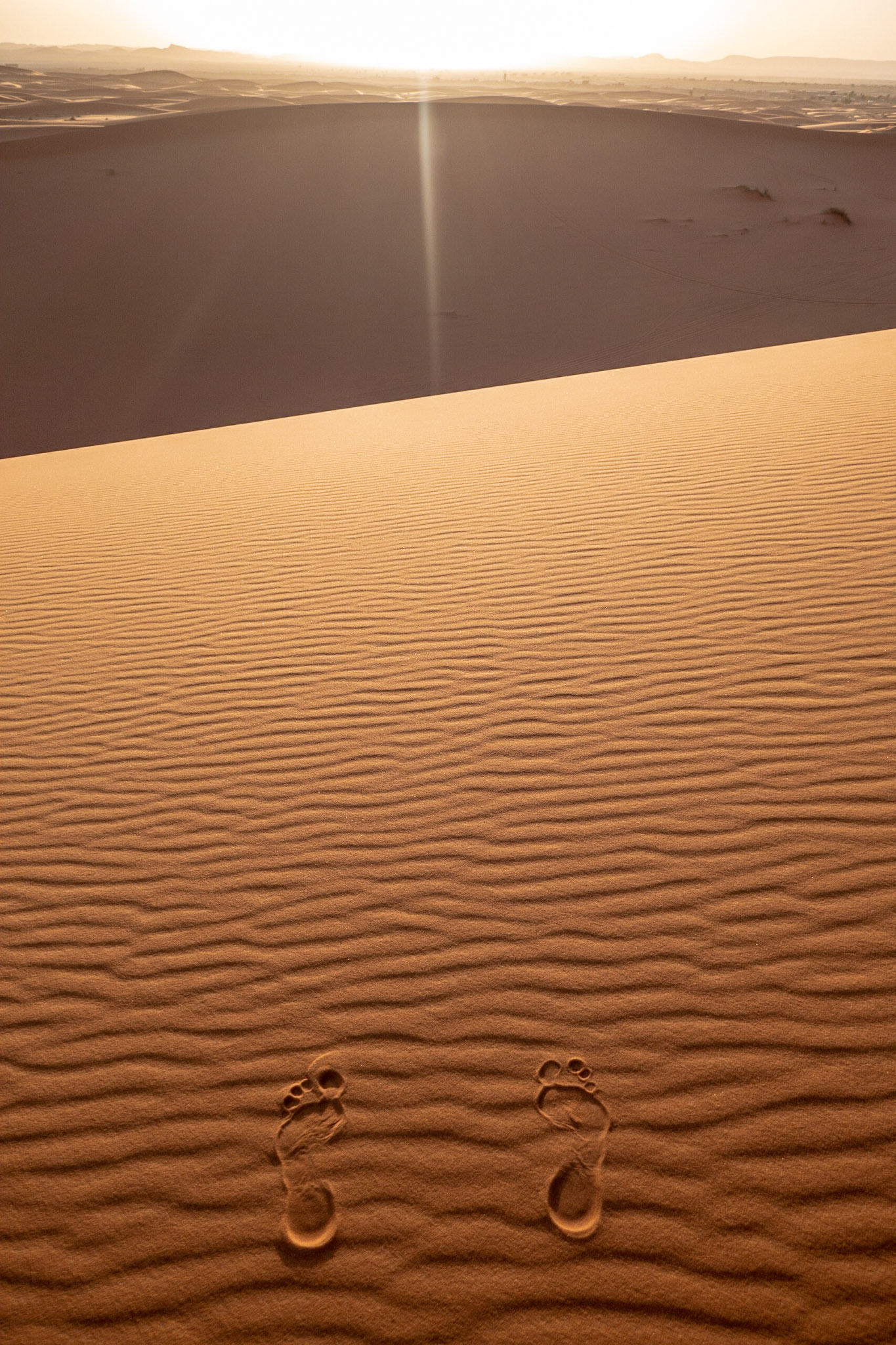 Sahara