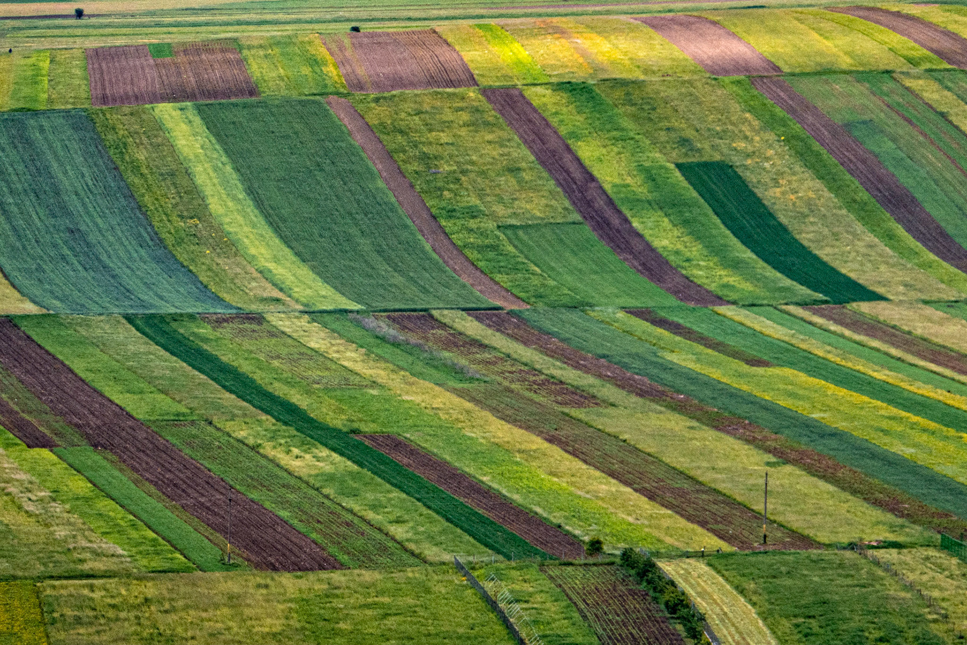 Targu Neamt Romania
