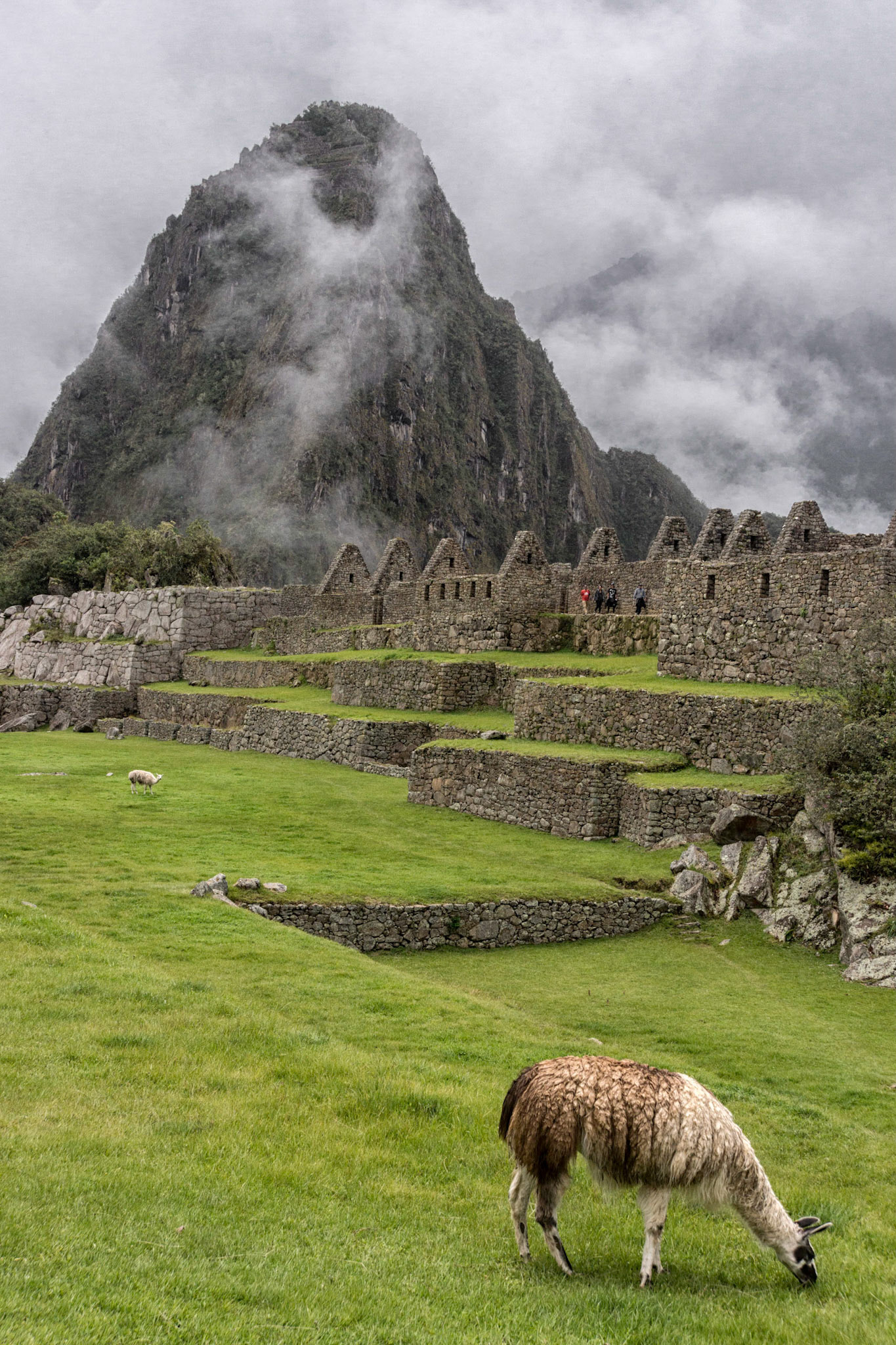 Machu Picchu