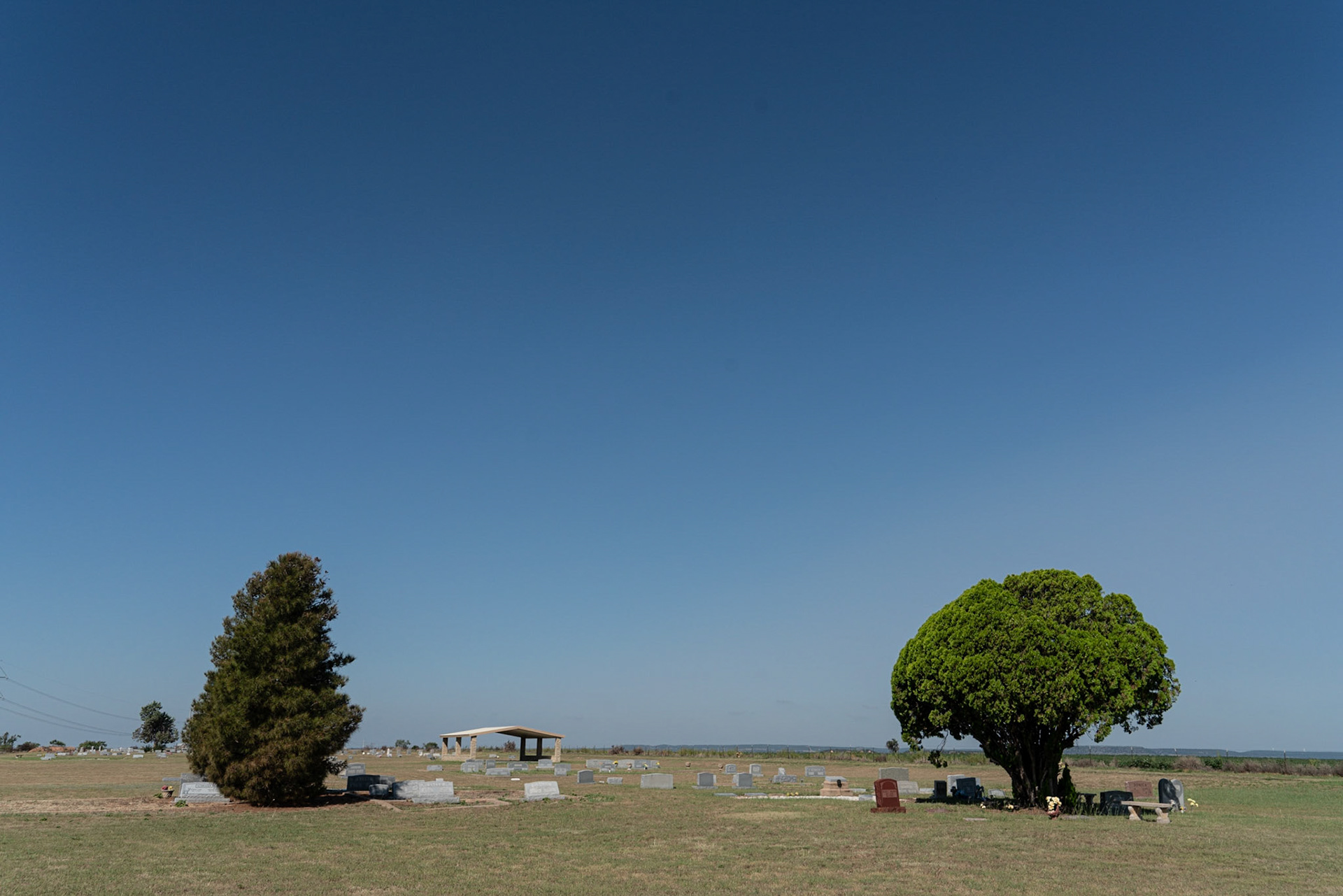 Bradshaw, TX