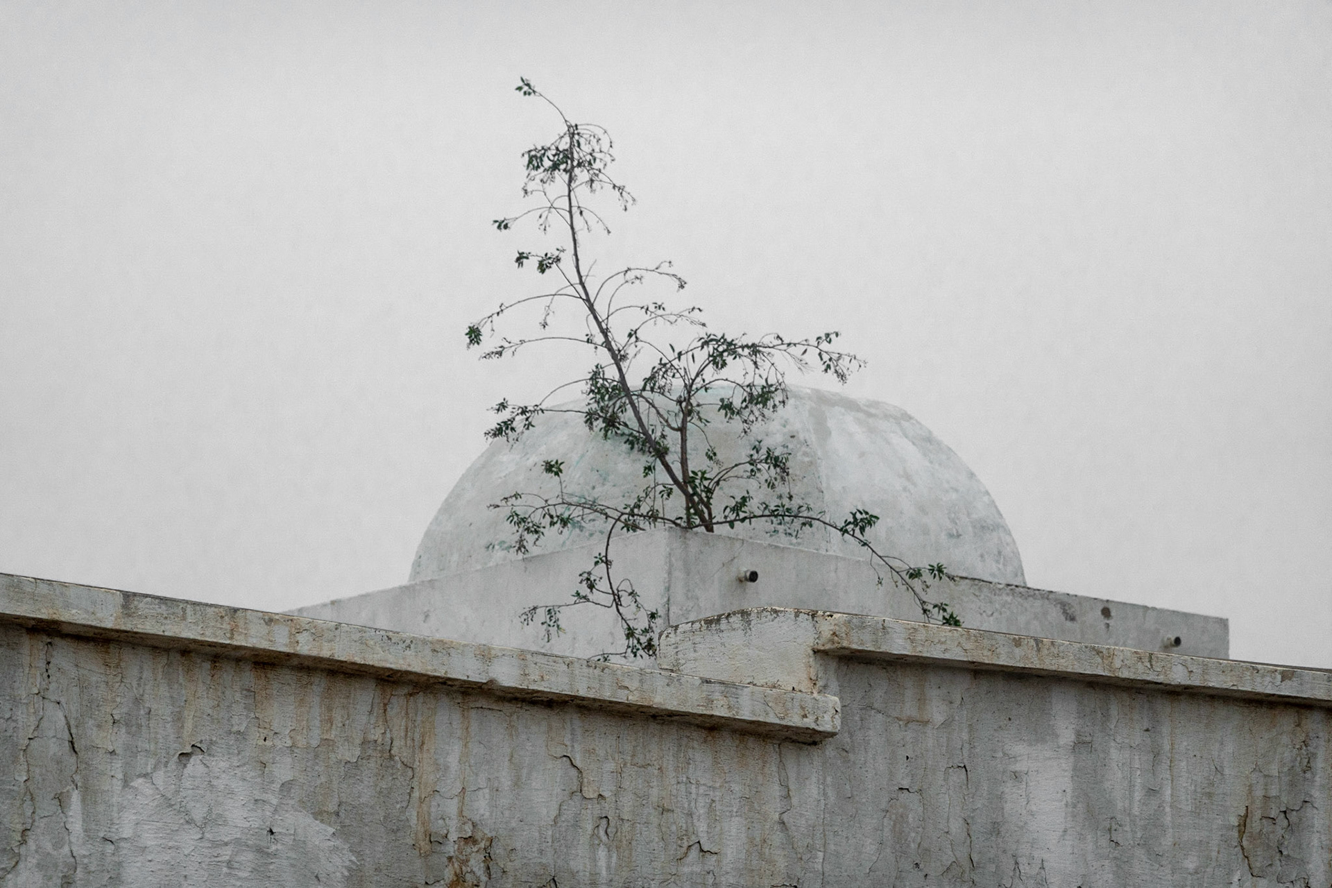 Rabat
