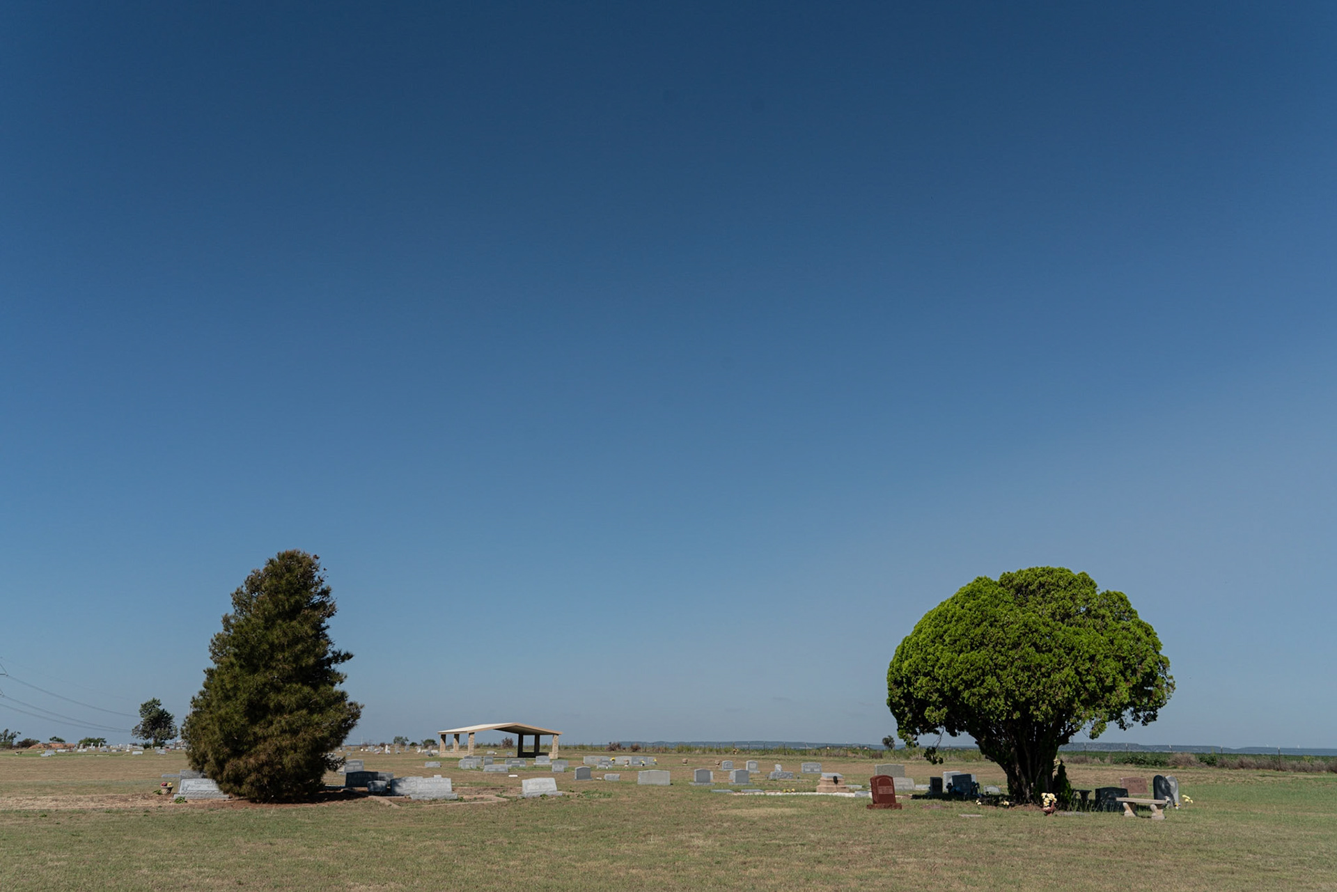 Bradshaw, TX