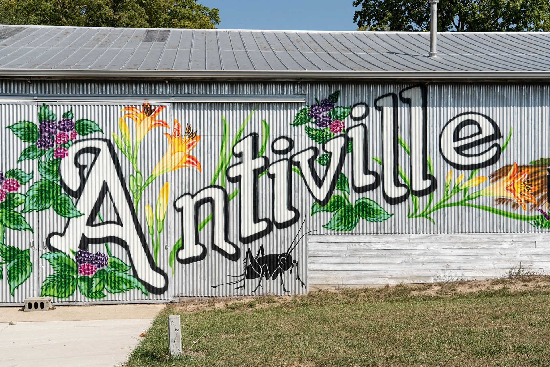 Antiville IN