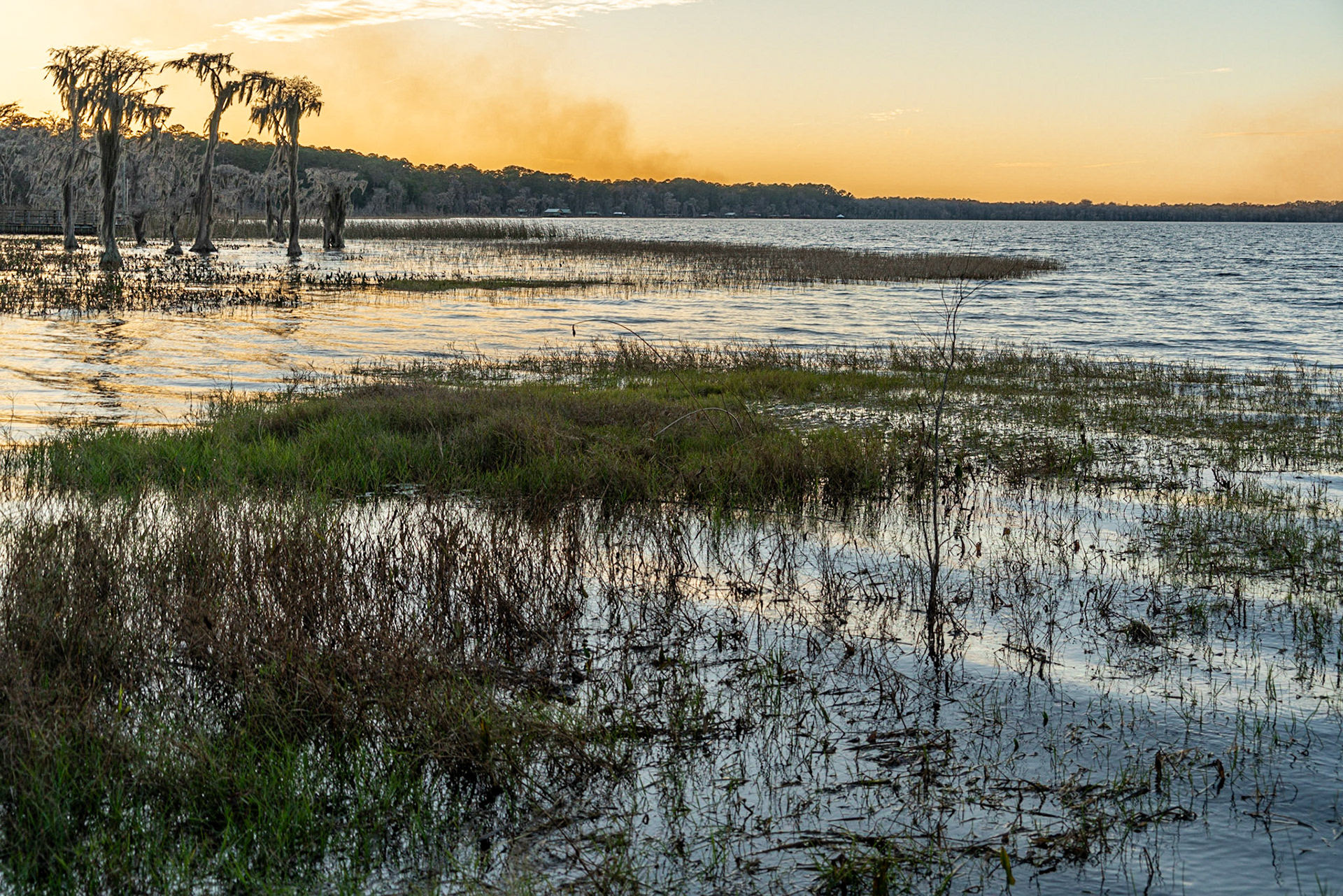 Olustee FL