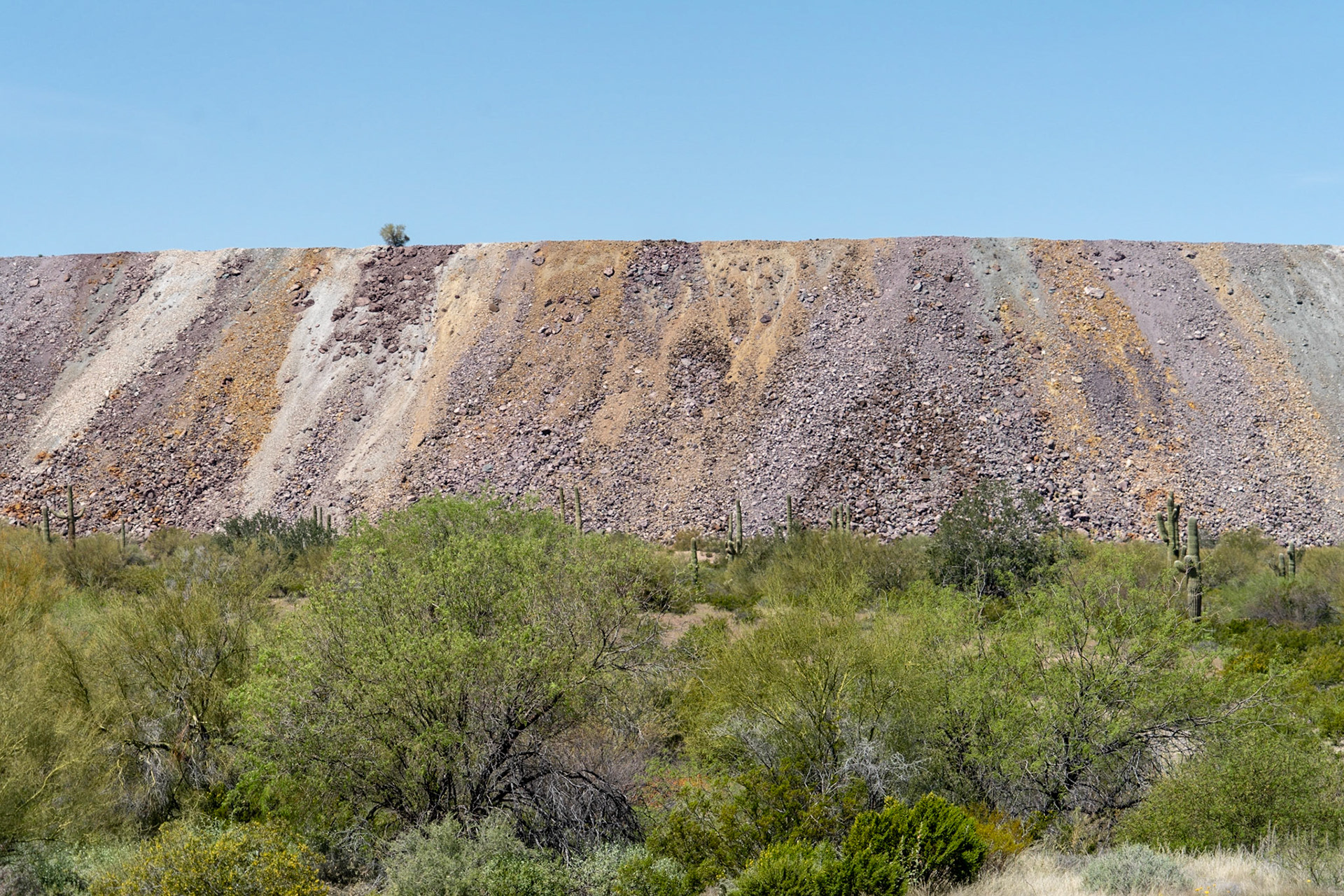 Ajo AZ