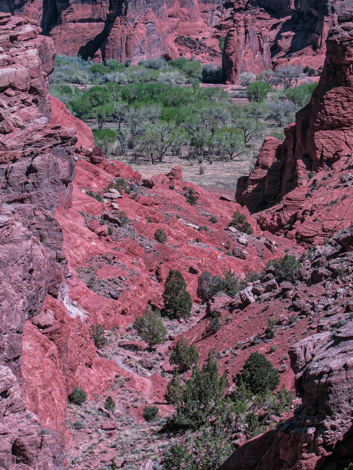 Arizona