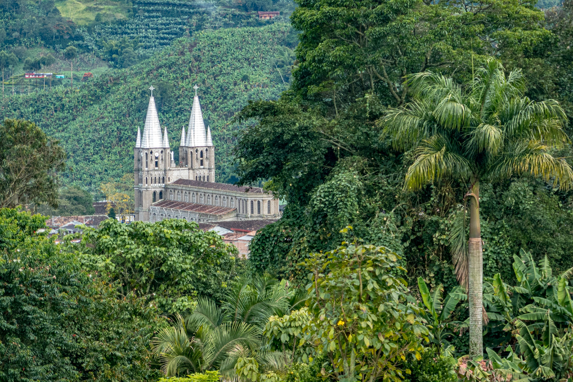 Jardin Colombia