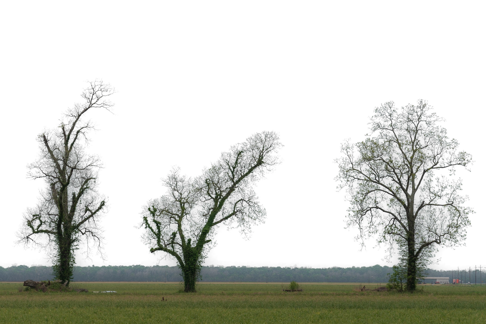 Cheneyville LA