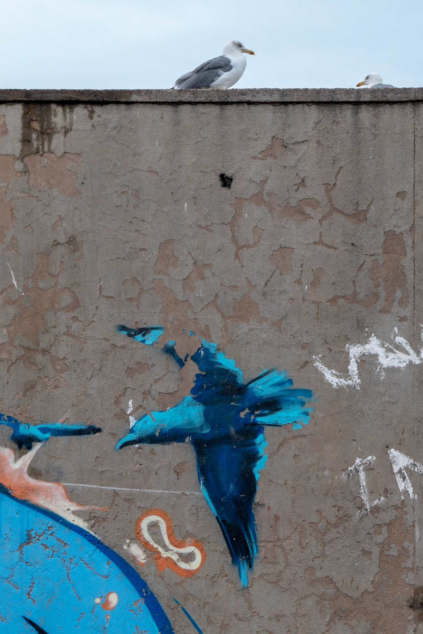Essaouira