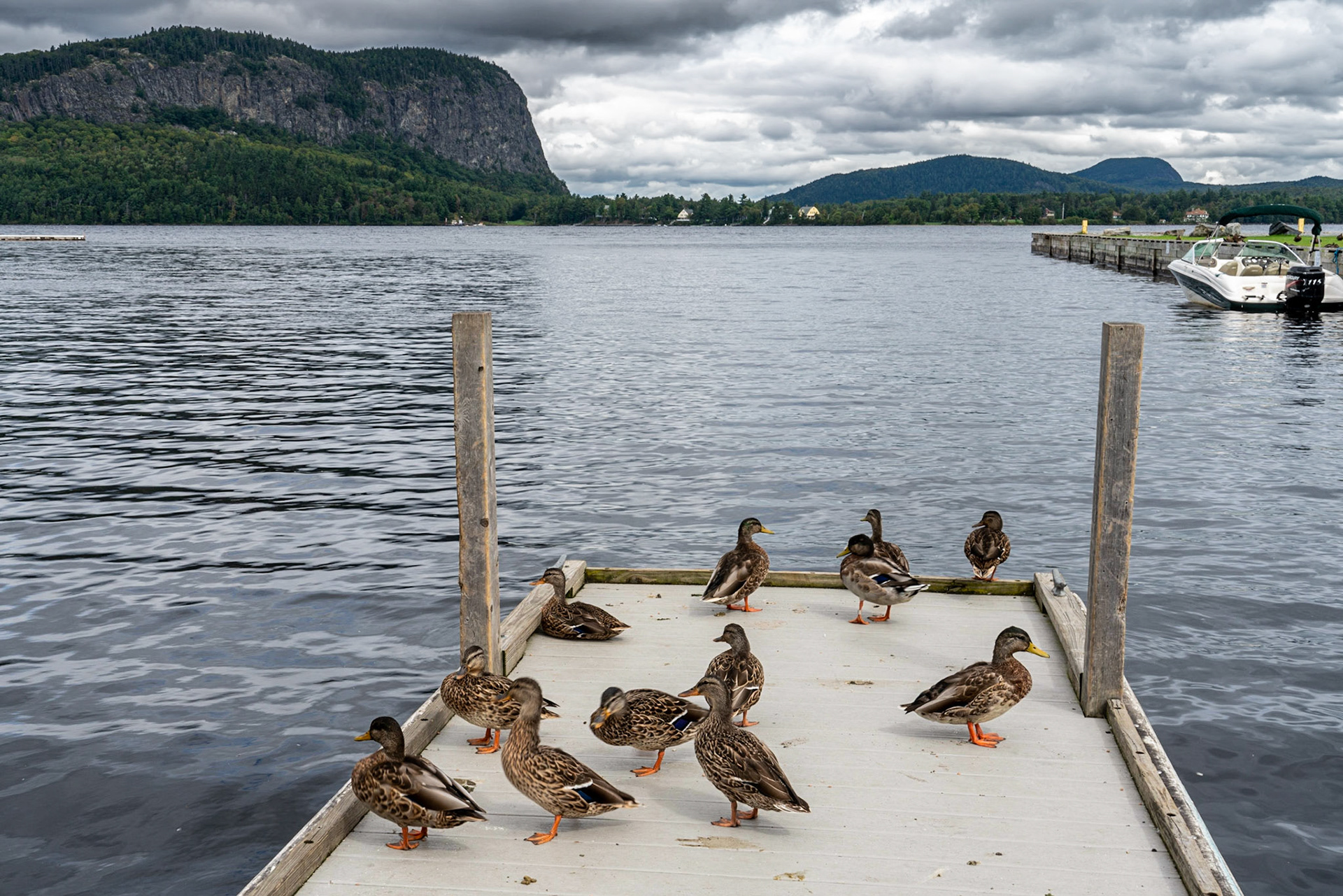 Moosehead Lake Maine