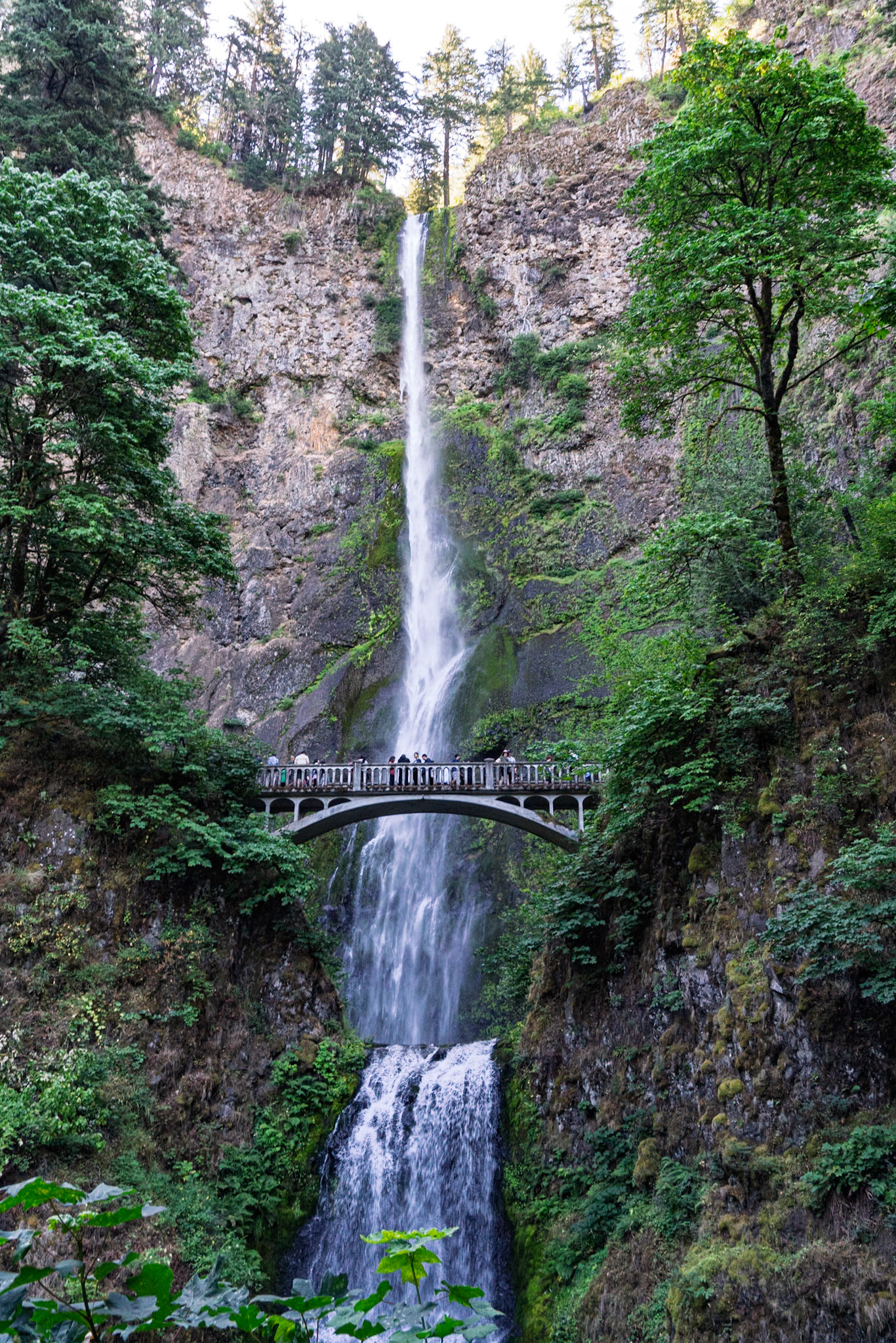 Multnomah Falls OR