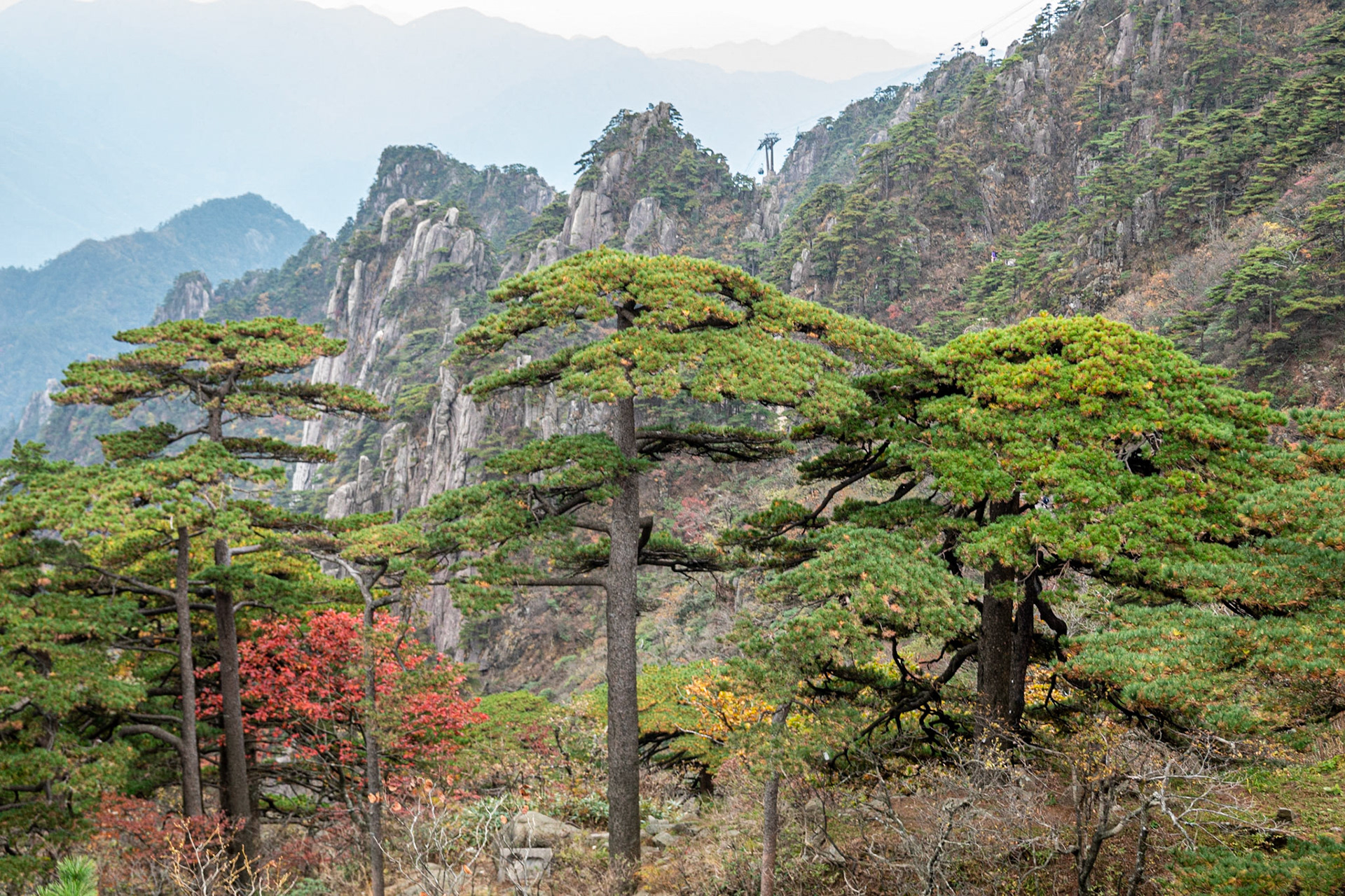 Yellow Mountains