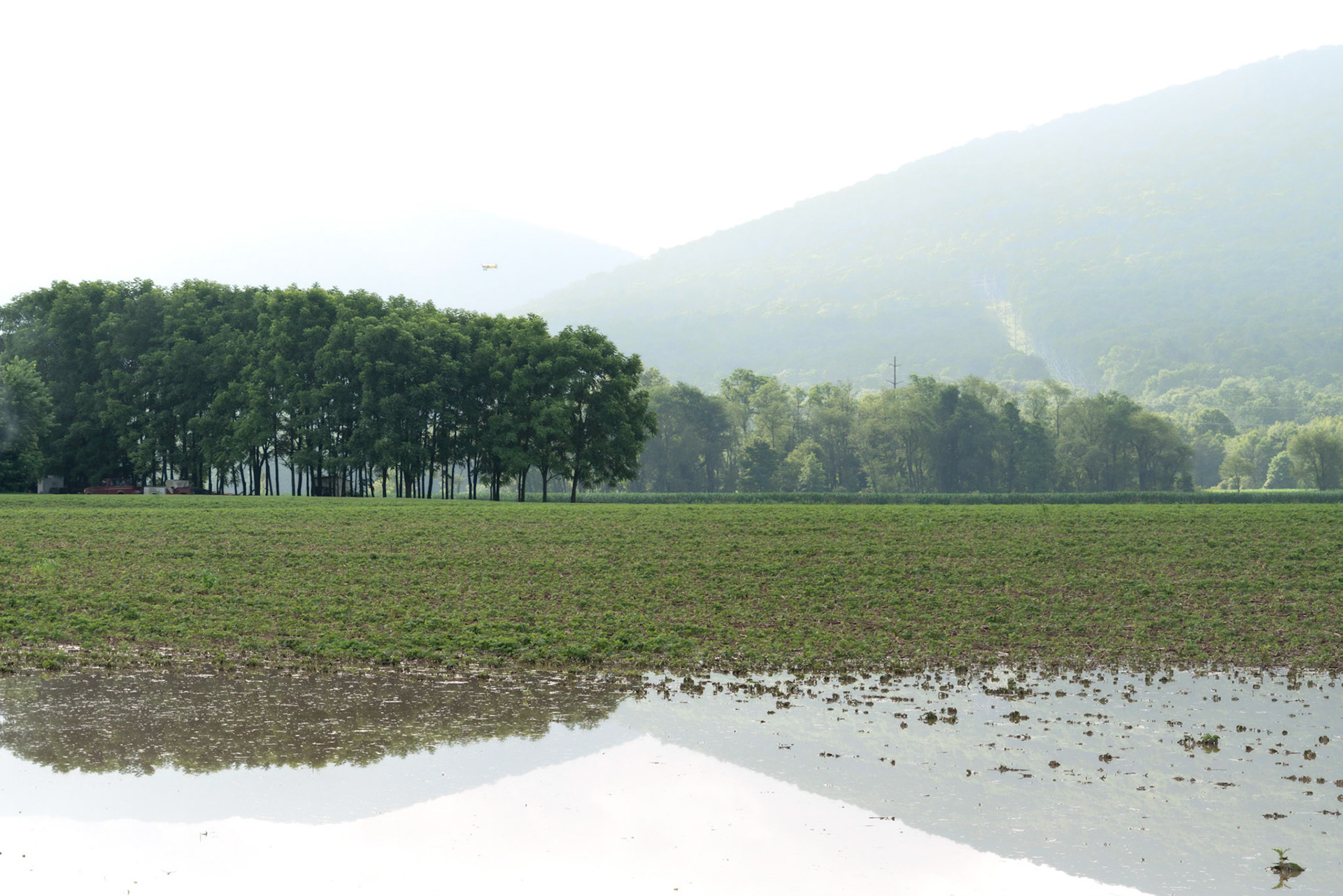 Nisbet PA