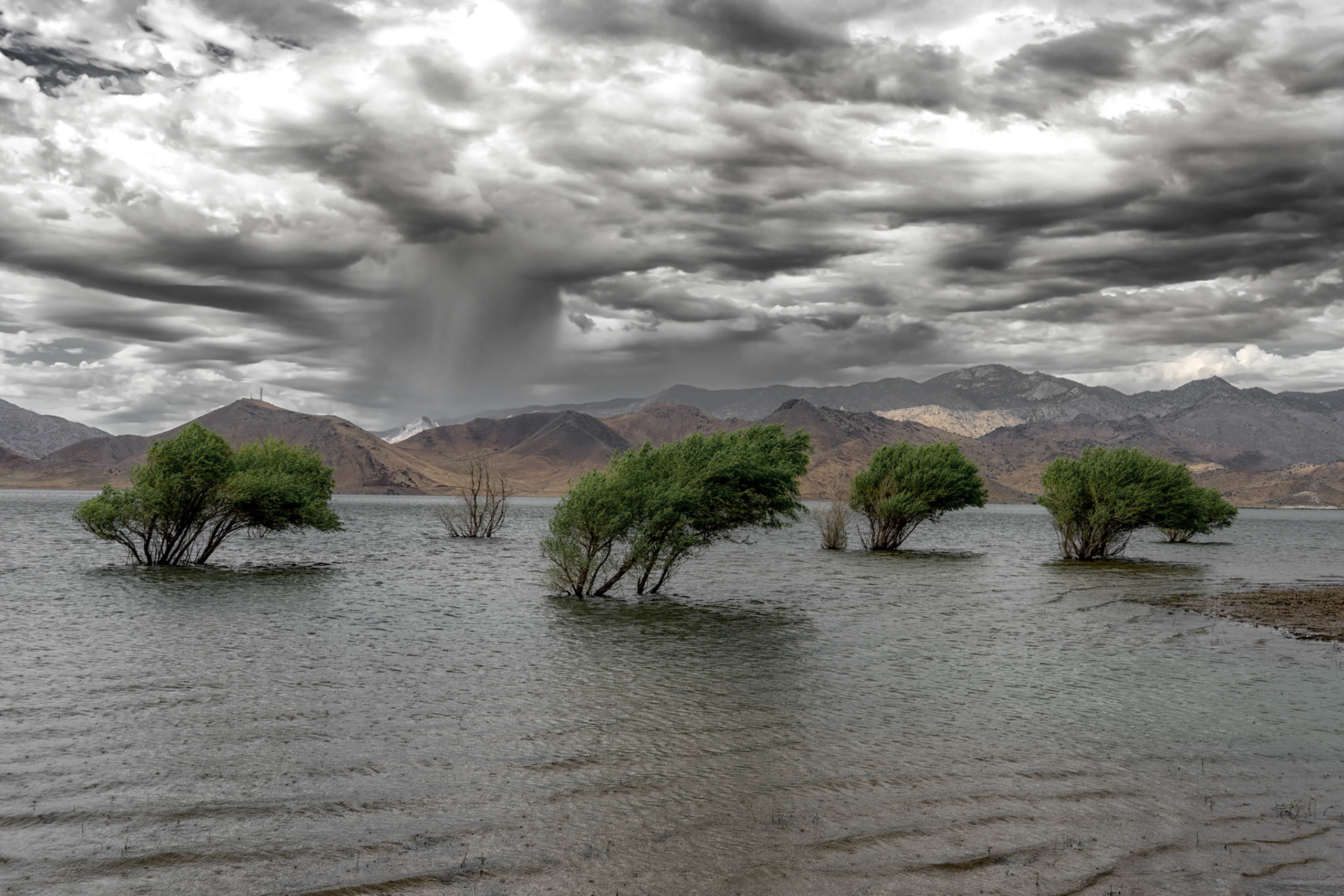 Lake Isabella CA