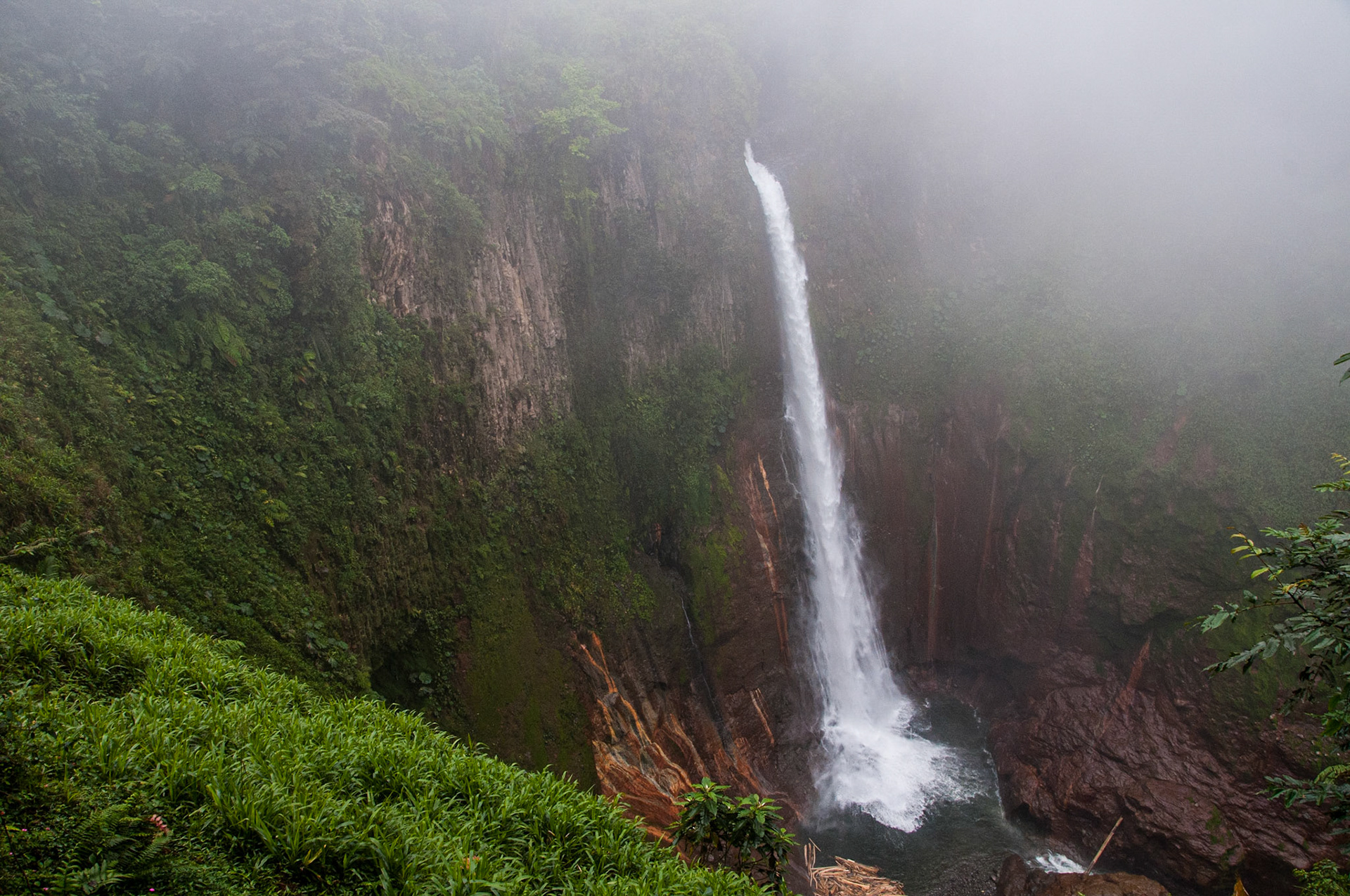 Monteverde Cloud Forest Costa Rica