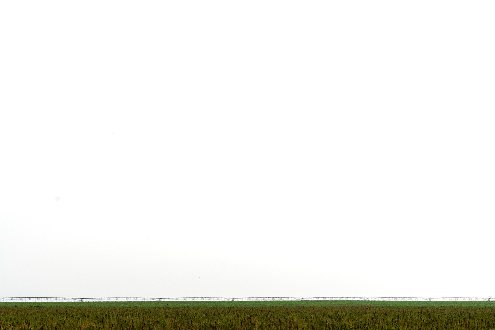 Selden, KS
