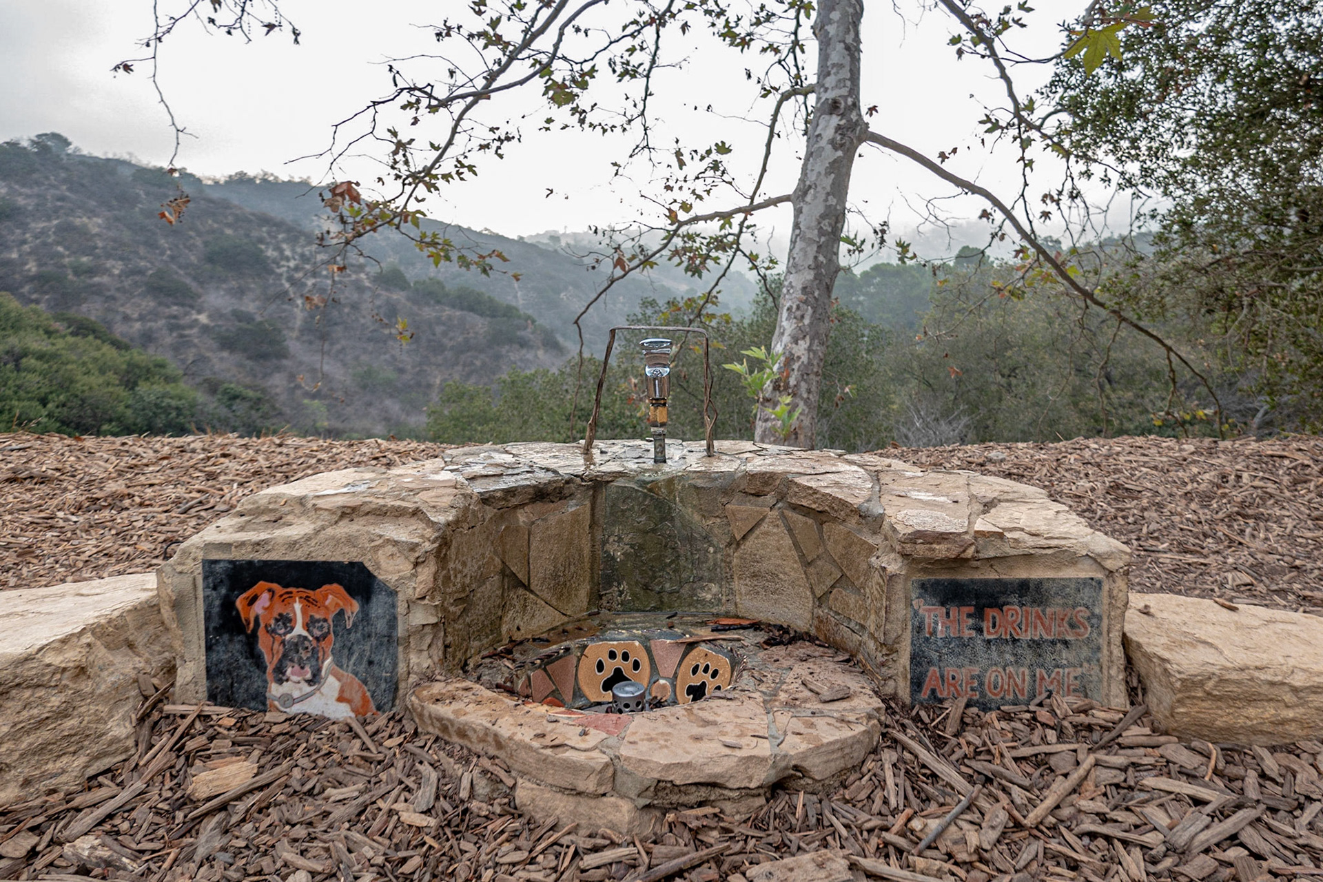 Fryman Cyn