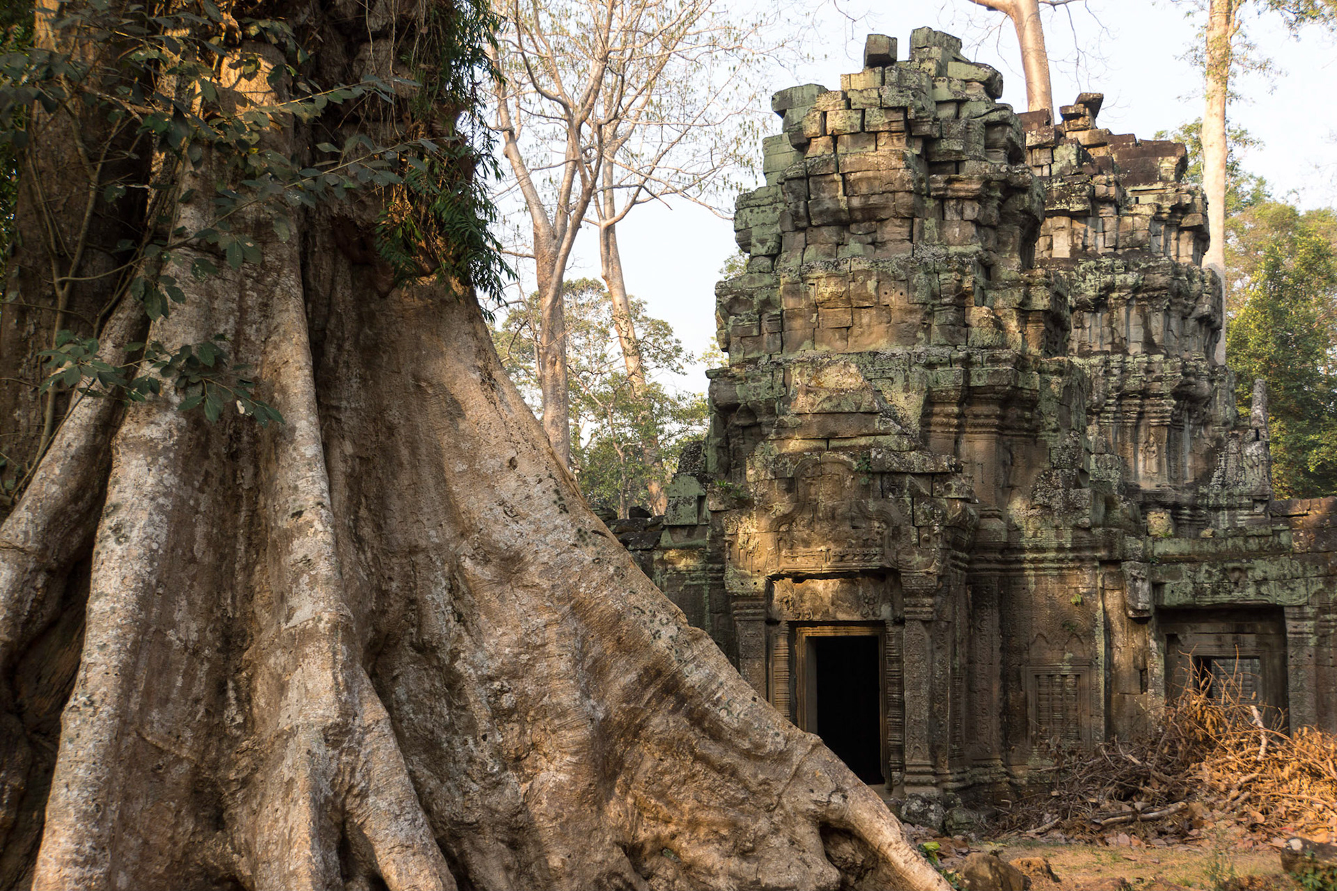 Angkor Wat