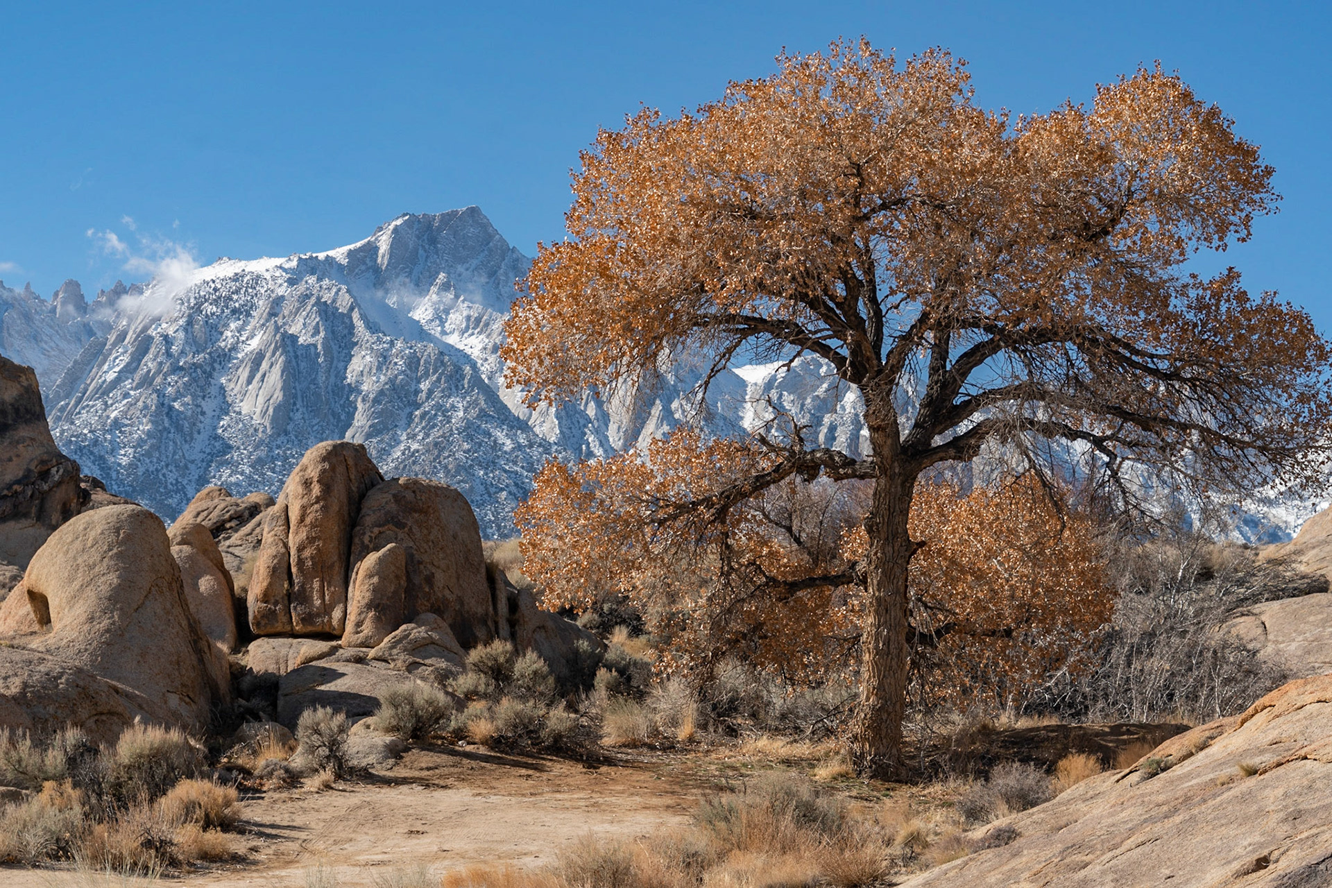 Alabama Hills