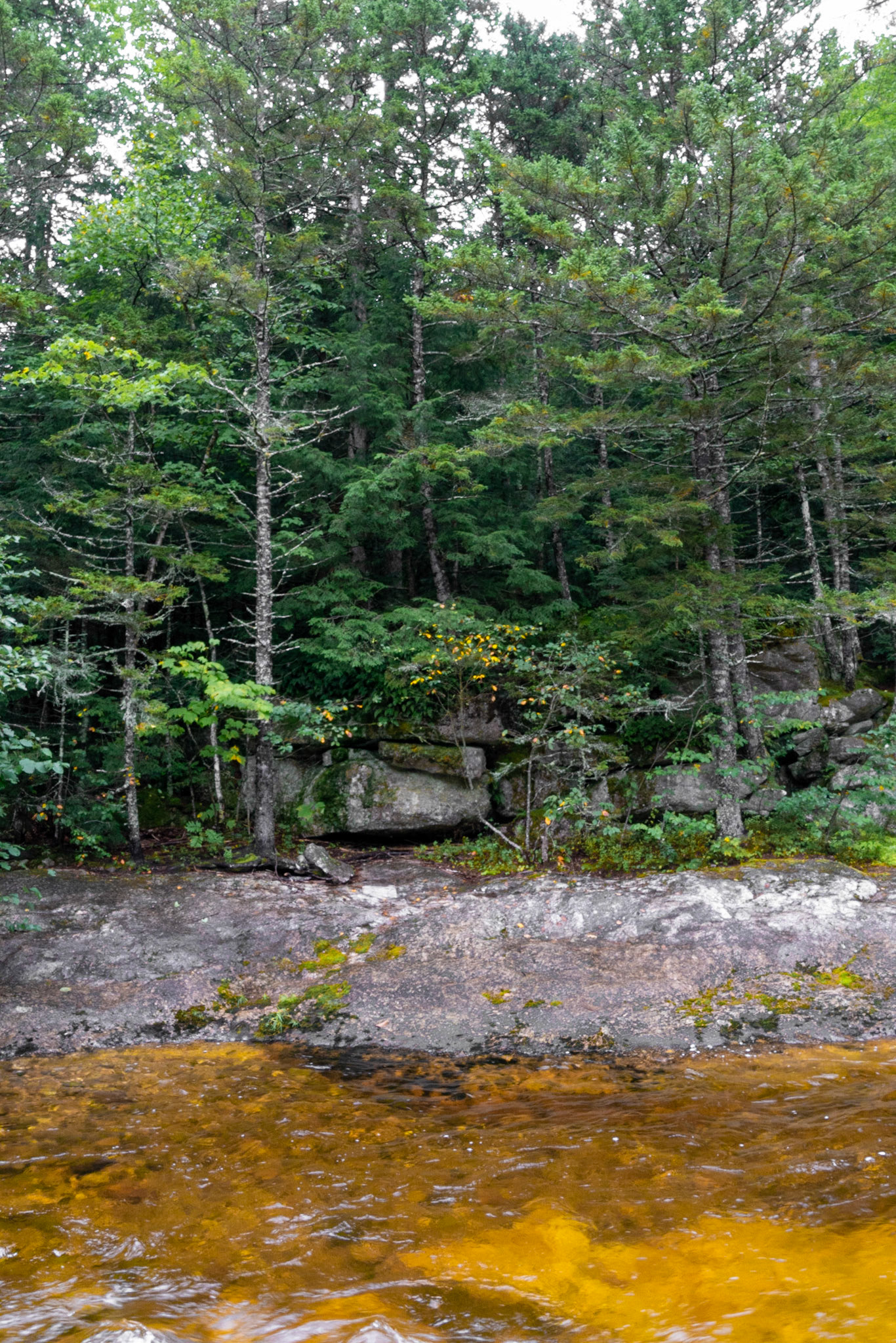 Grafton Notch Maine