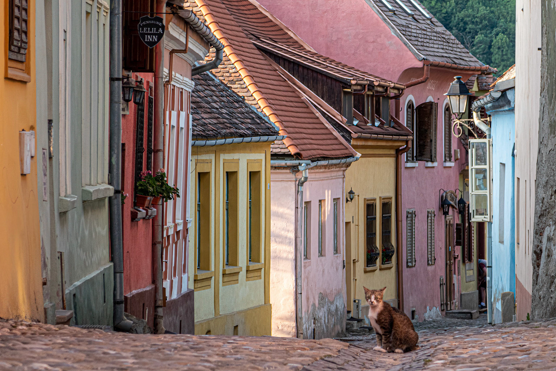Sighisoara Romania