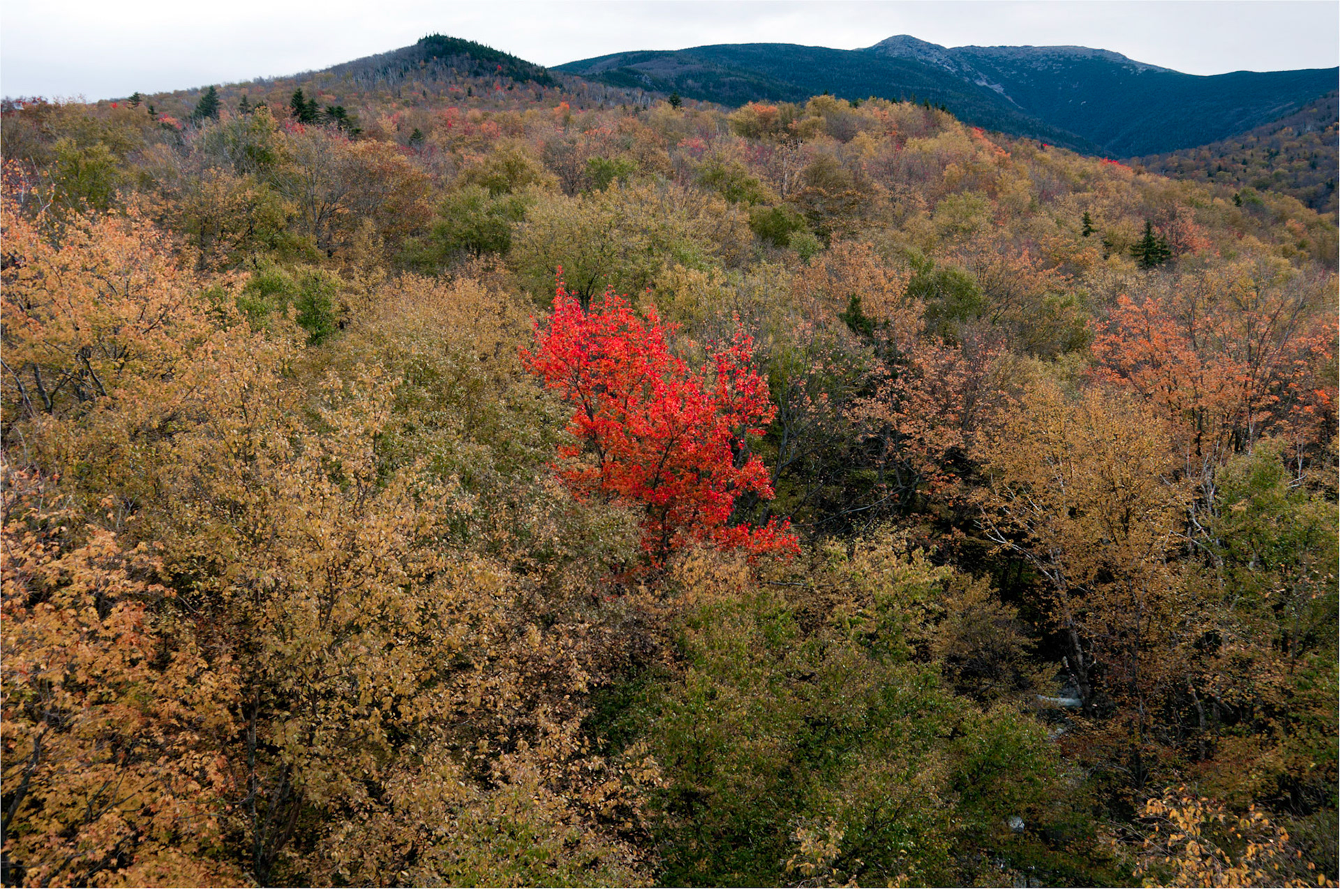 New Hampshire