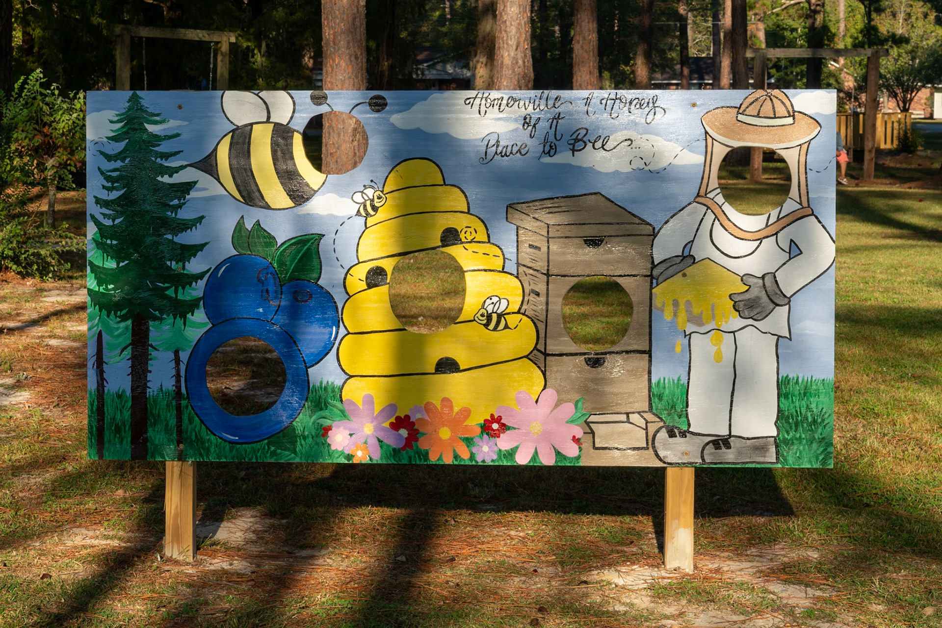 Homerville GA