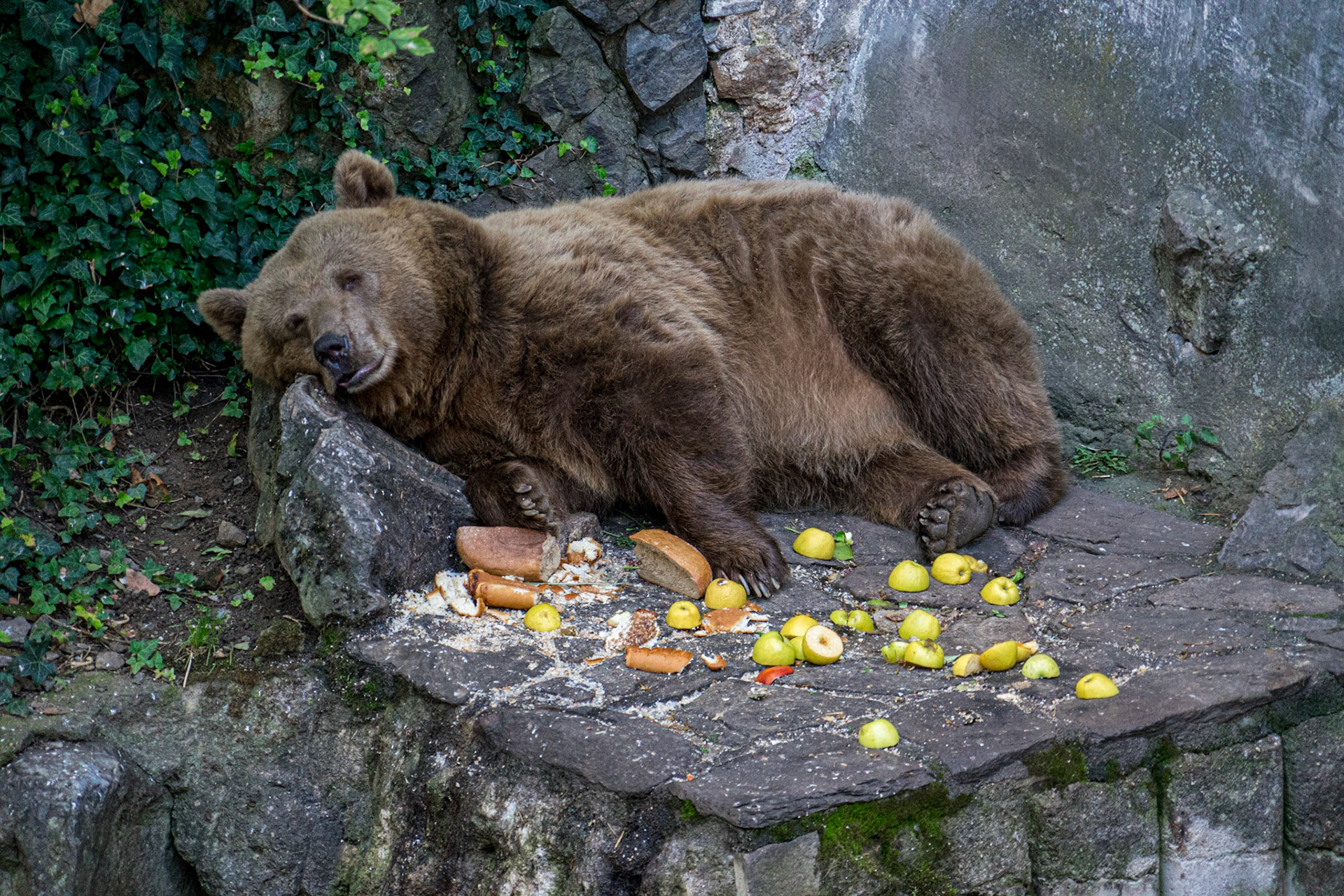 Cesky Krumov Czech Rep