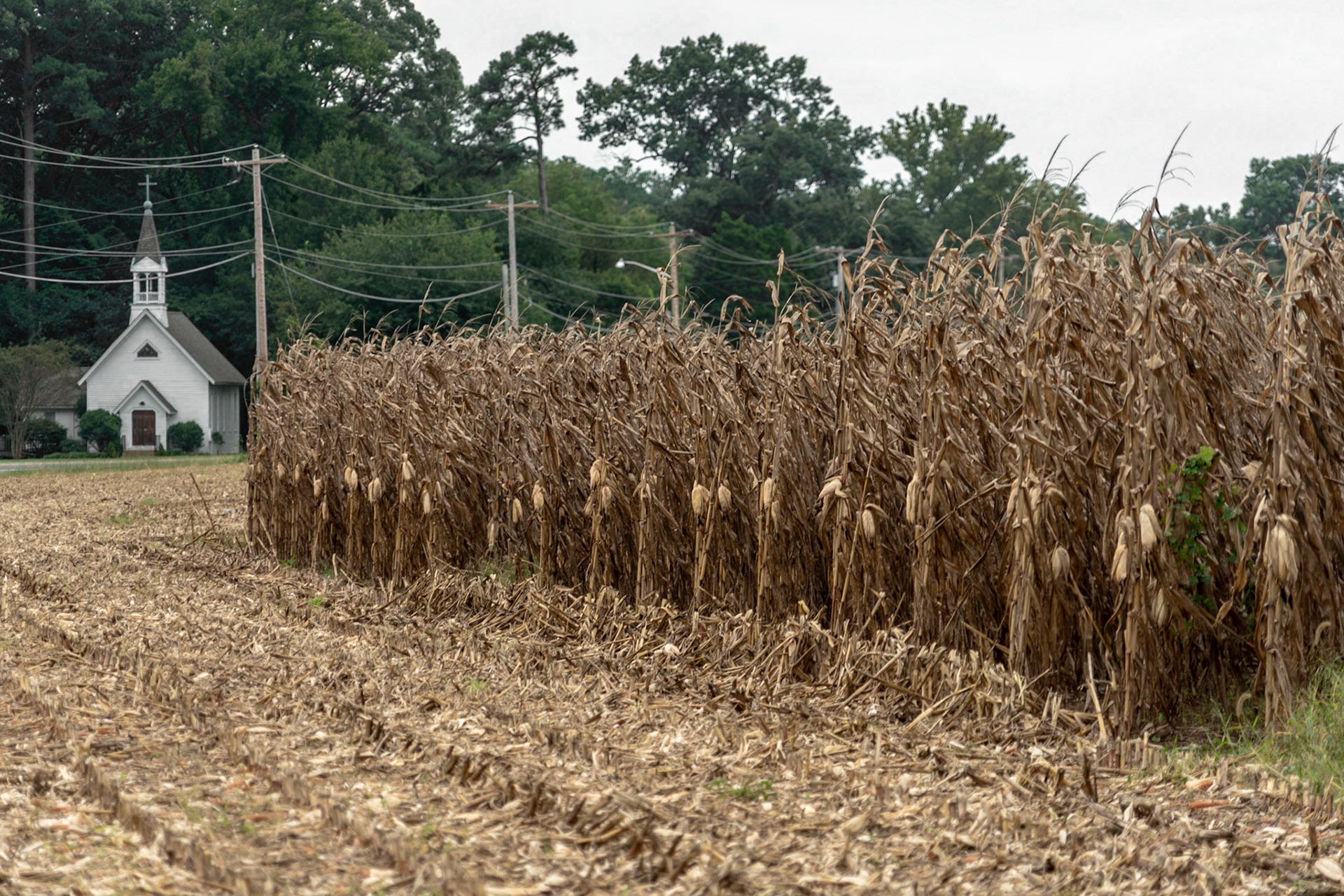 St. Inigoes, Ridge MD