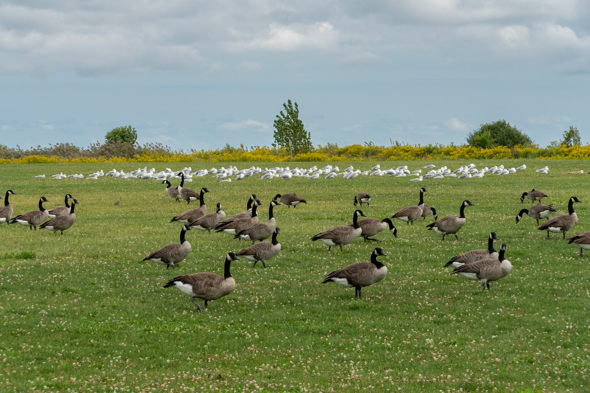 Port Stanley, Ontario