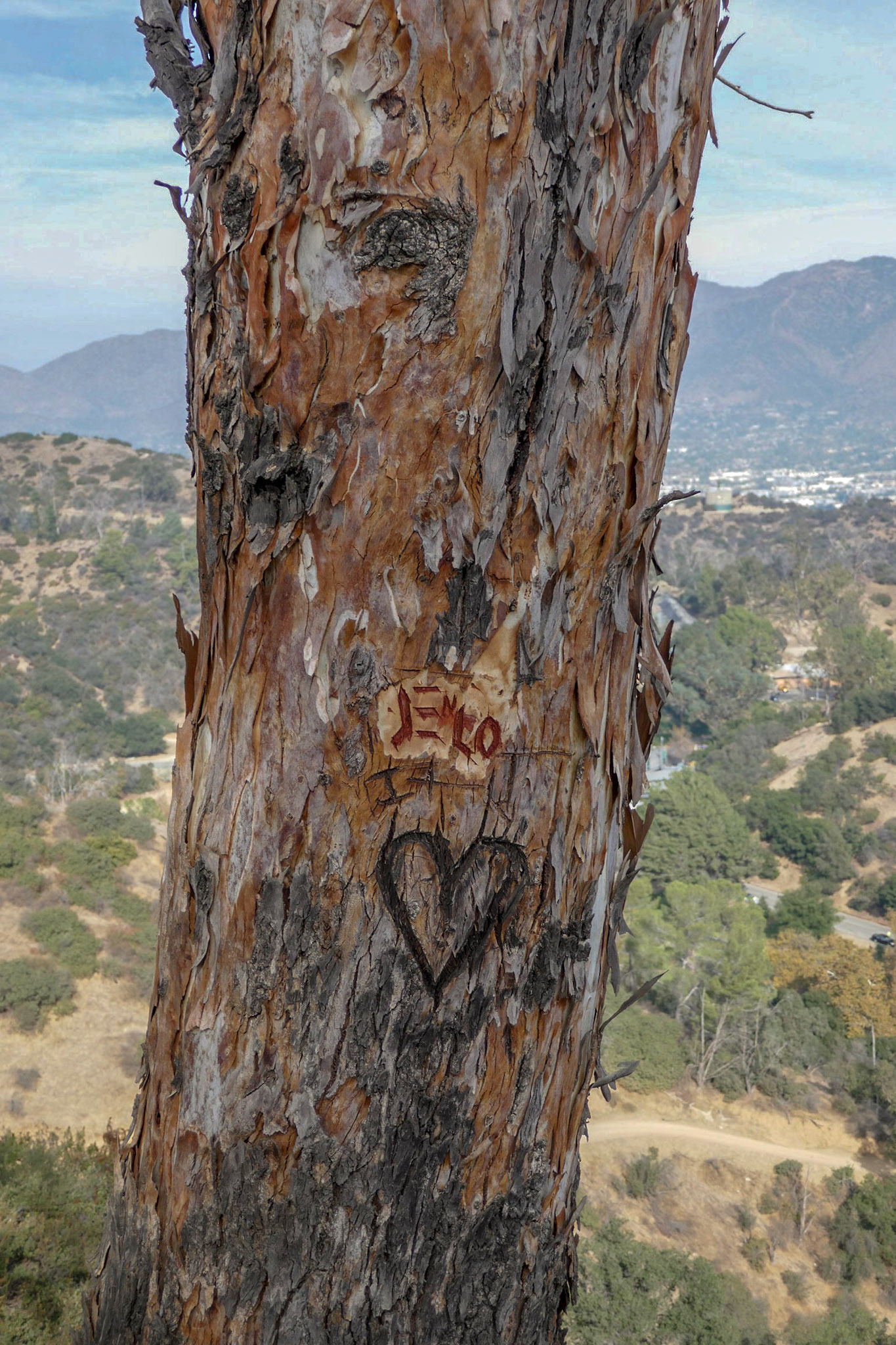 Griffith Park