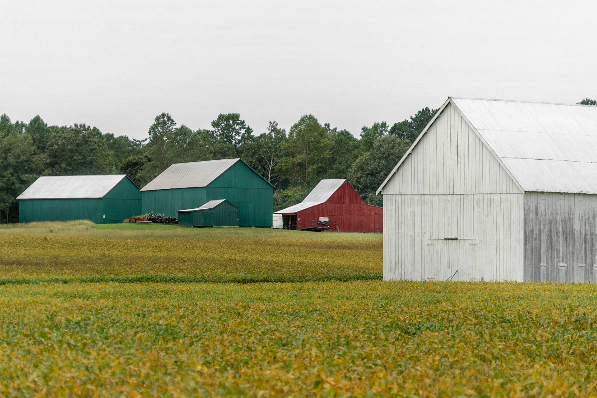 Helen, MD