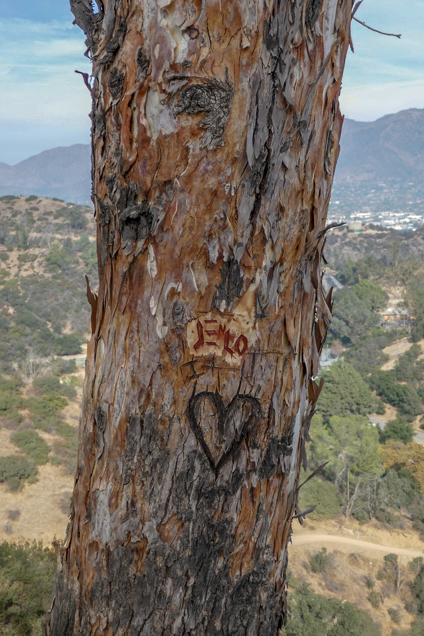Griffith Park
