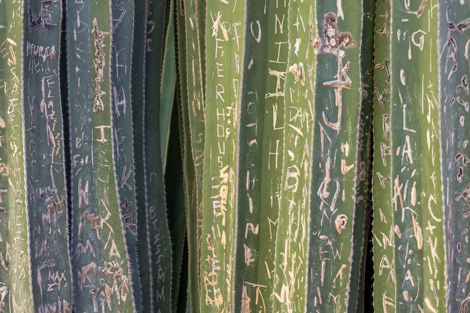 Marrakech
