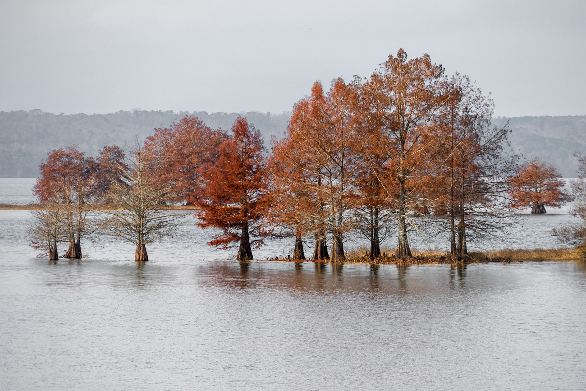 Sandy Branch GA