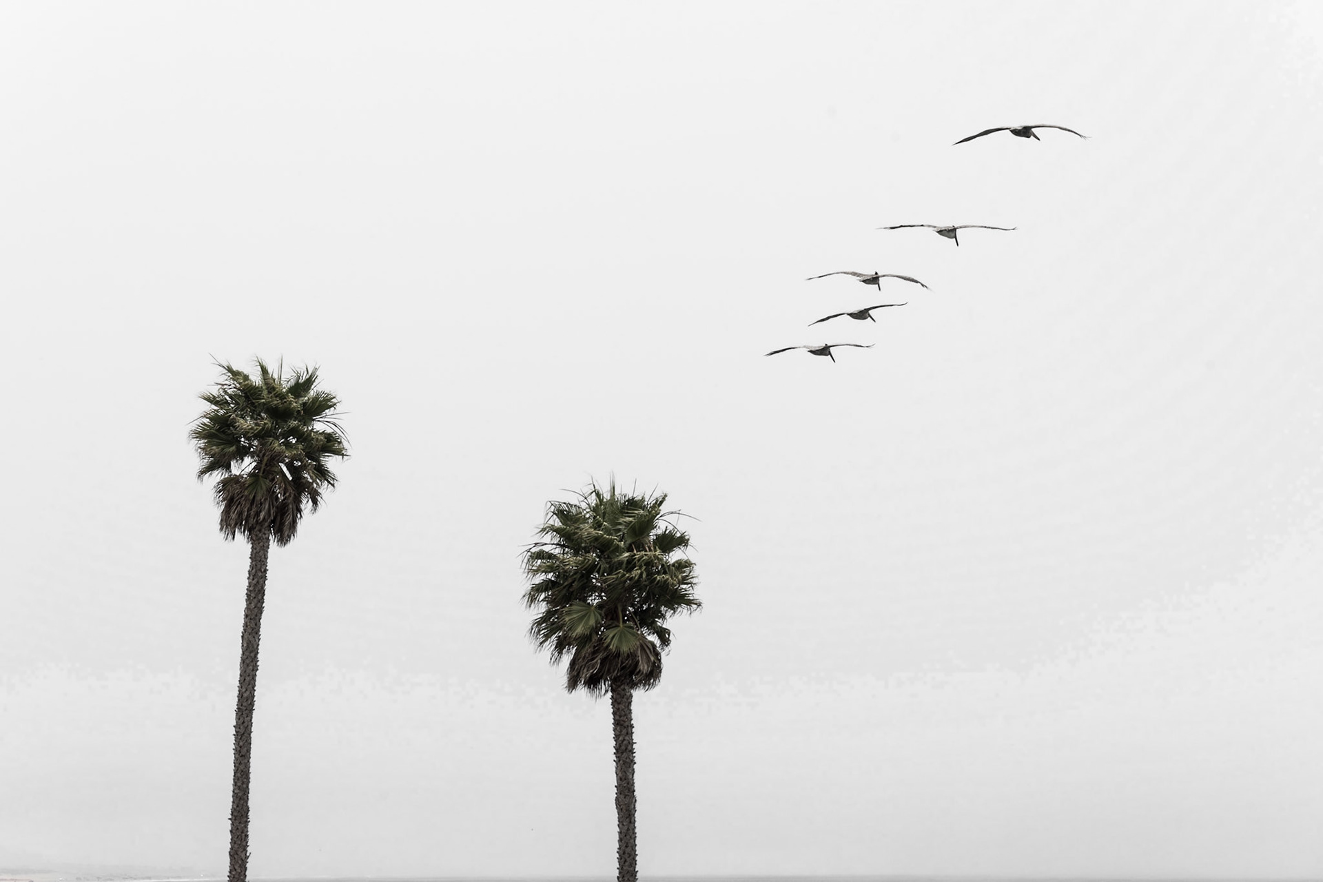 Pismo Beach