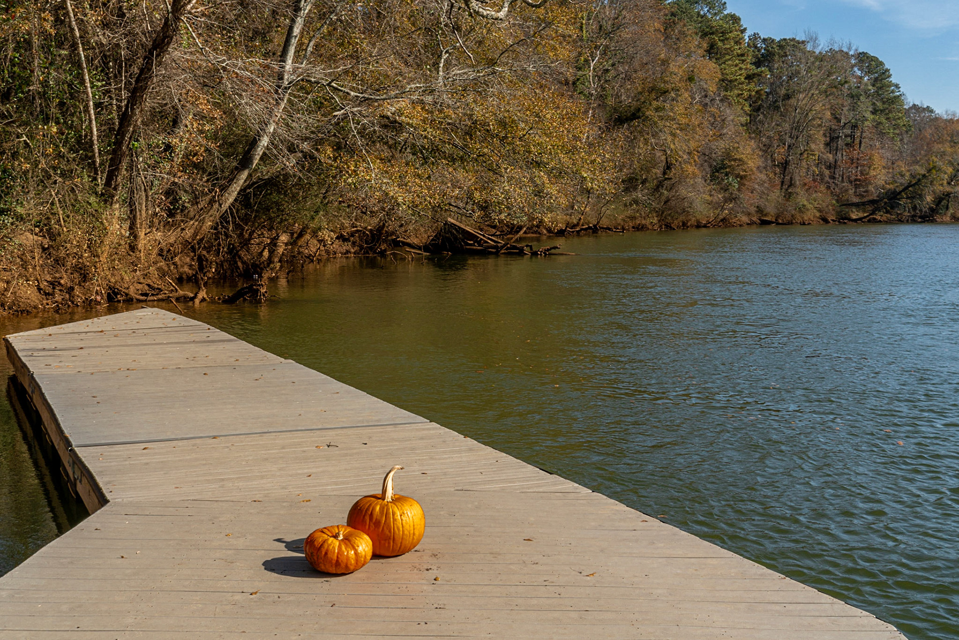 Don White Memorial Park GA
