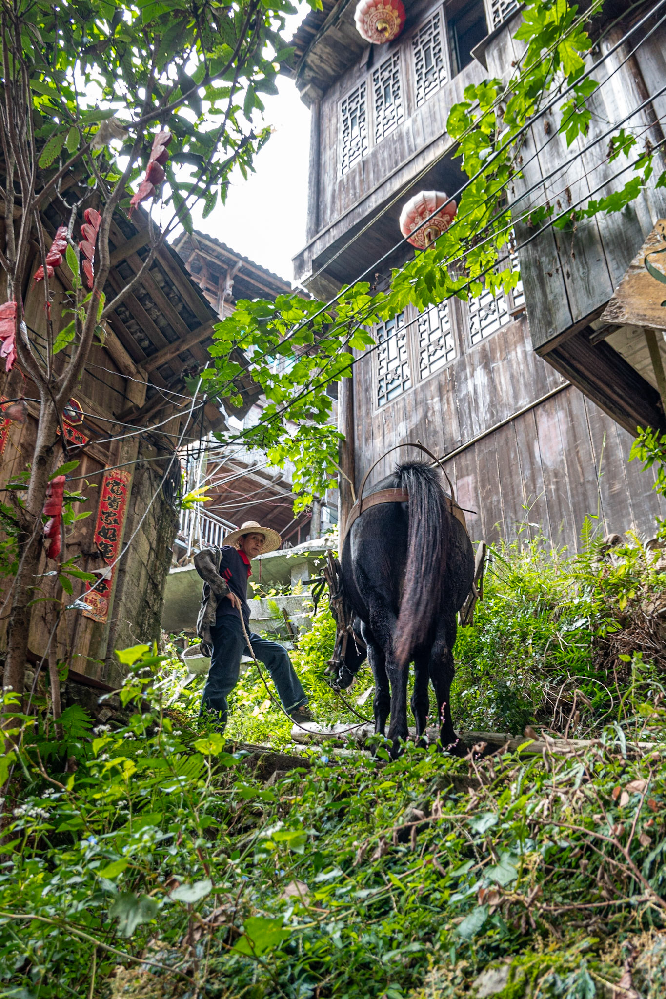 Longji Rice Terraces China