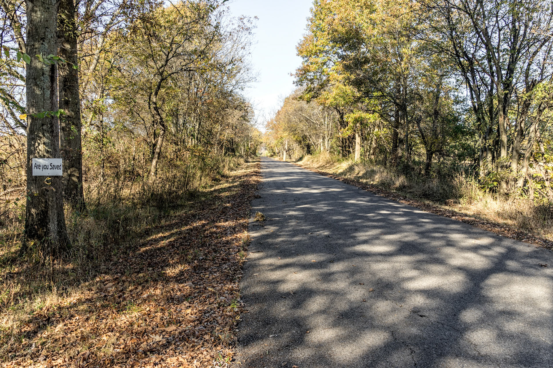 Livingston County KY