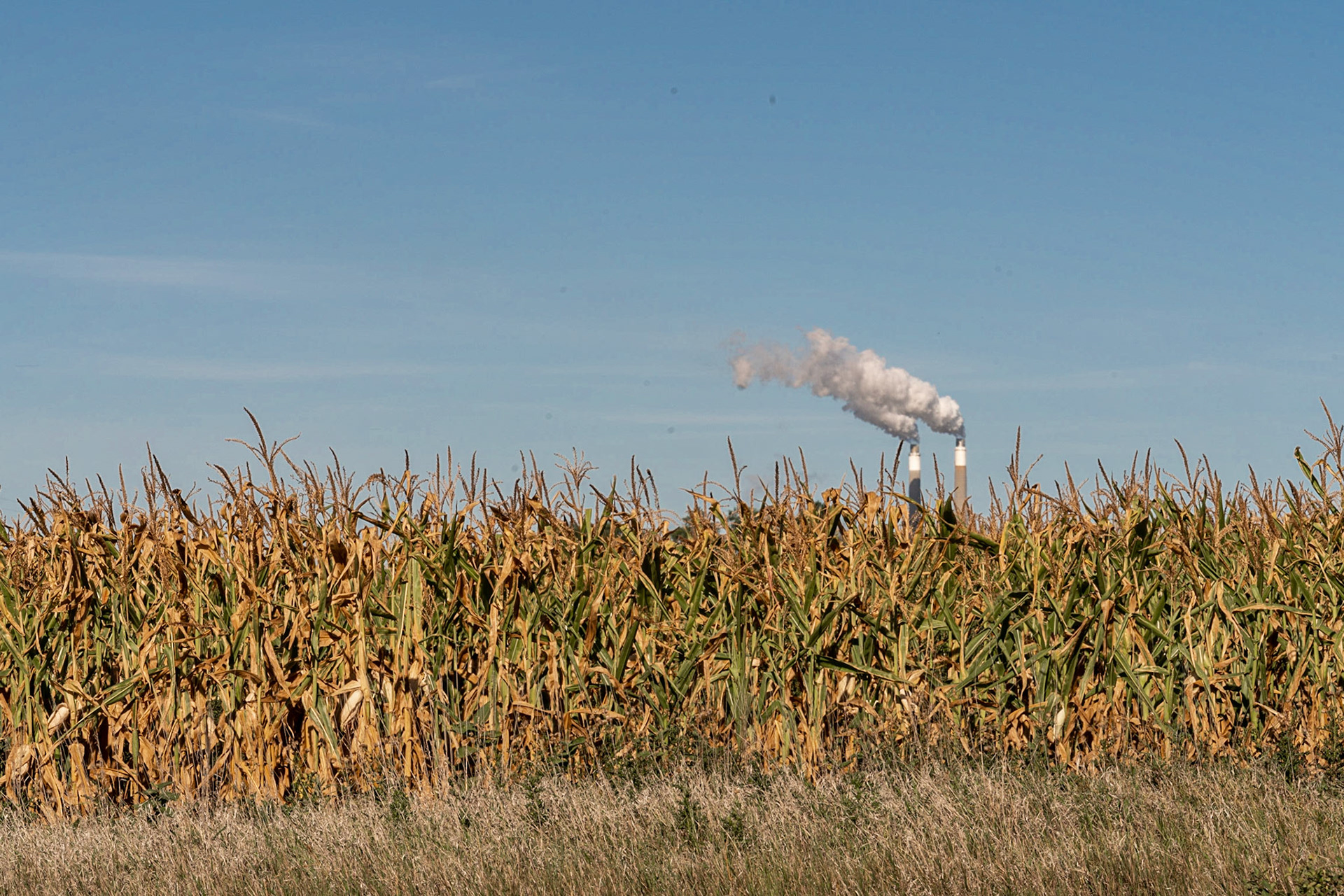 Falkirk, ND